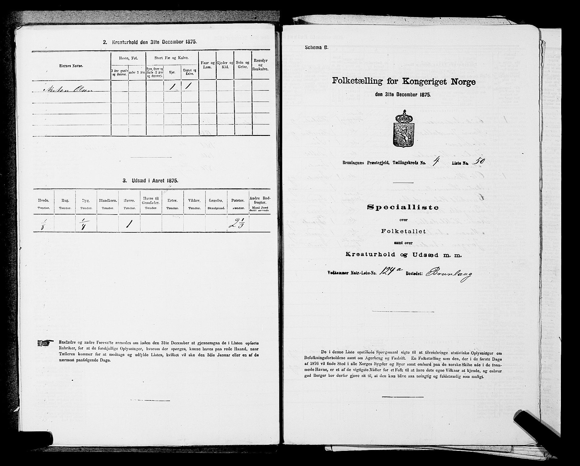 SAKO, Folketelling 1875 for 0726P Brunlanes prestegjeld, 1875, s. 550