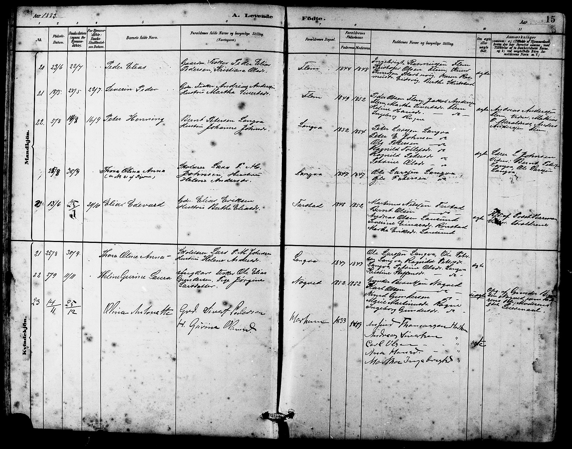 Ministerialprotokoller, klokkerbøker og fødselsregistre - Møre og Romsdal, AV/SAT-A-1454/536/L0510: Klokkerbok nr. 536C05, 1881-1898, s. 15