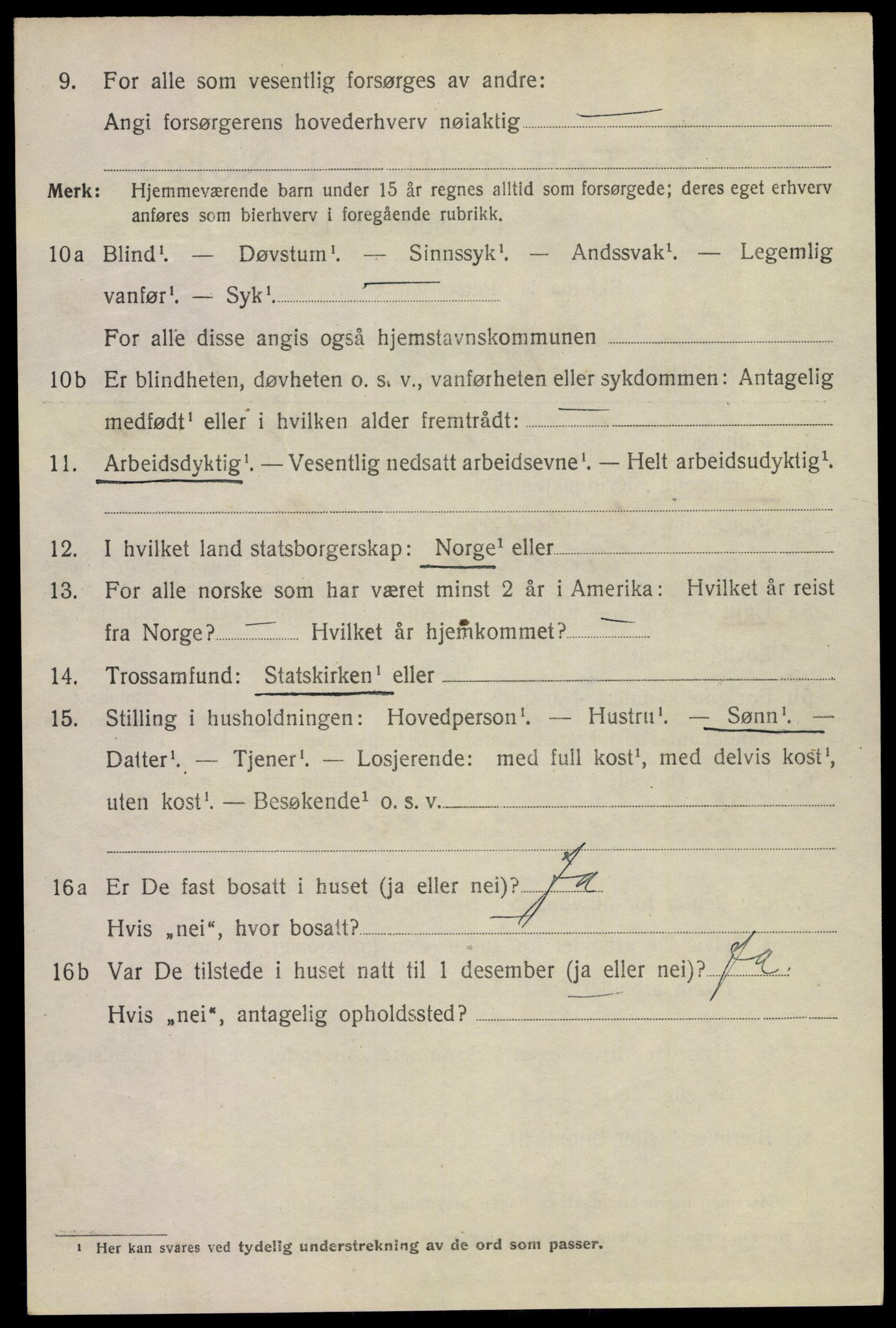 SAKO, Folketelling 1920 for 0805 Porsgrunn kjøpstad, 1920, s. 13018