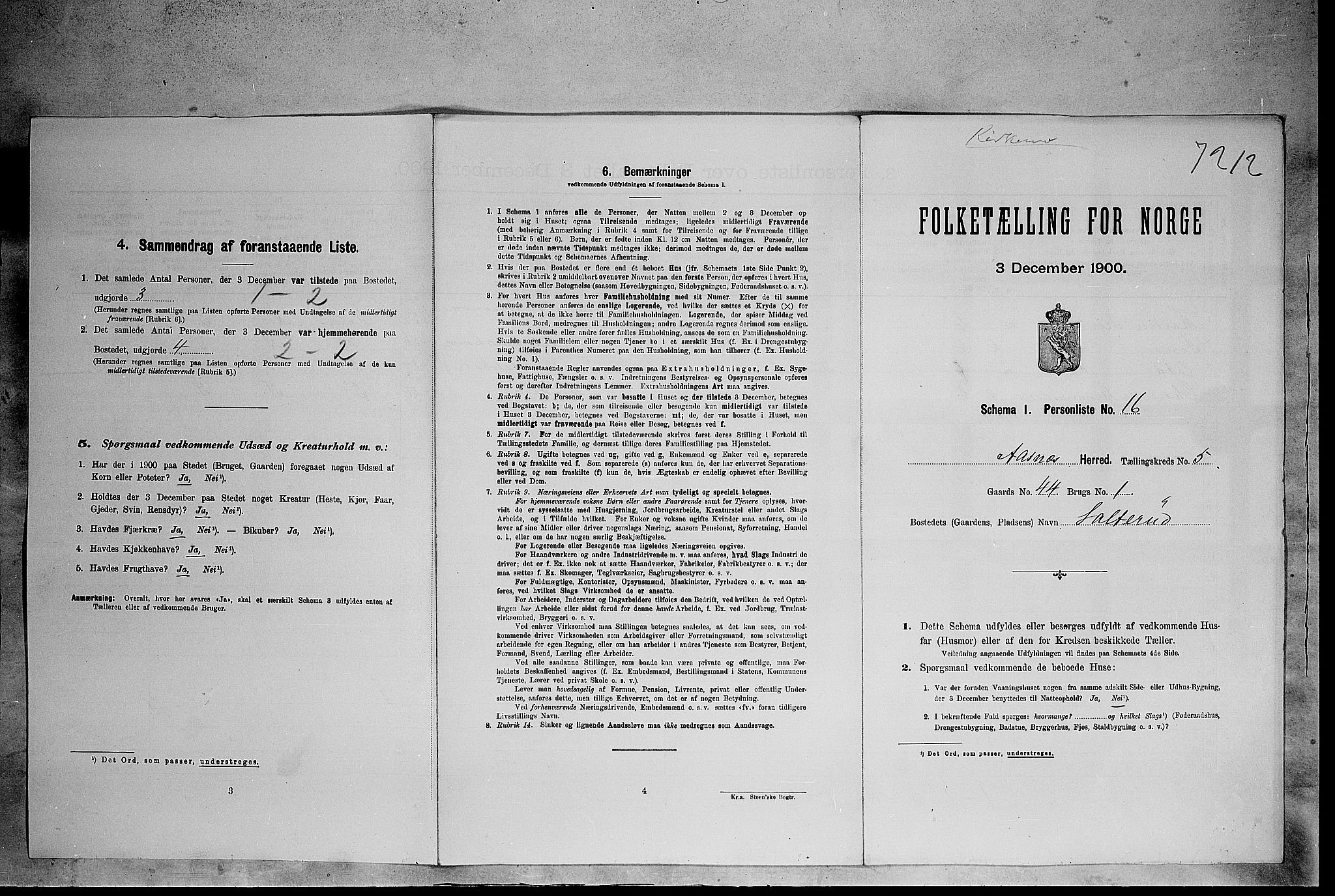 SAH, Folketelling 1900 for 0425 Åsnes herred, 1900, s. 883