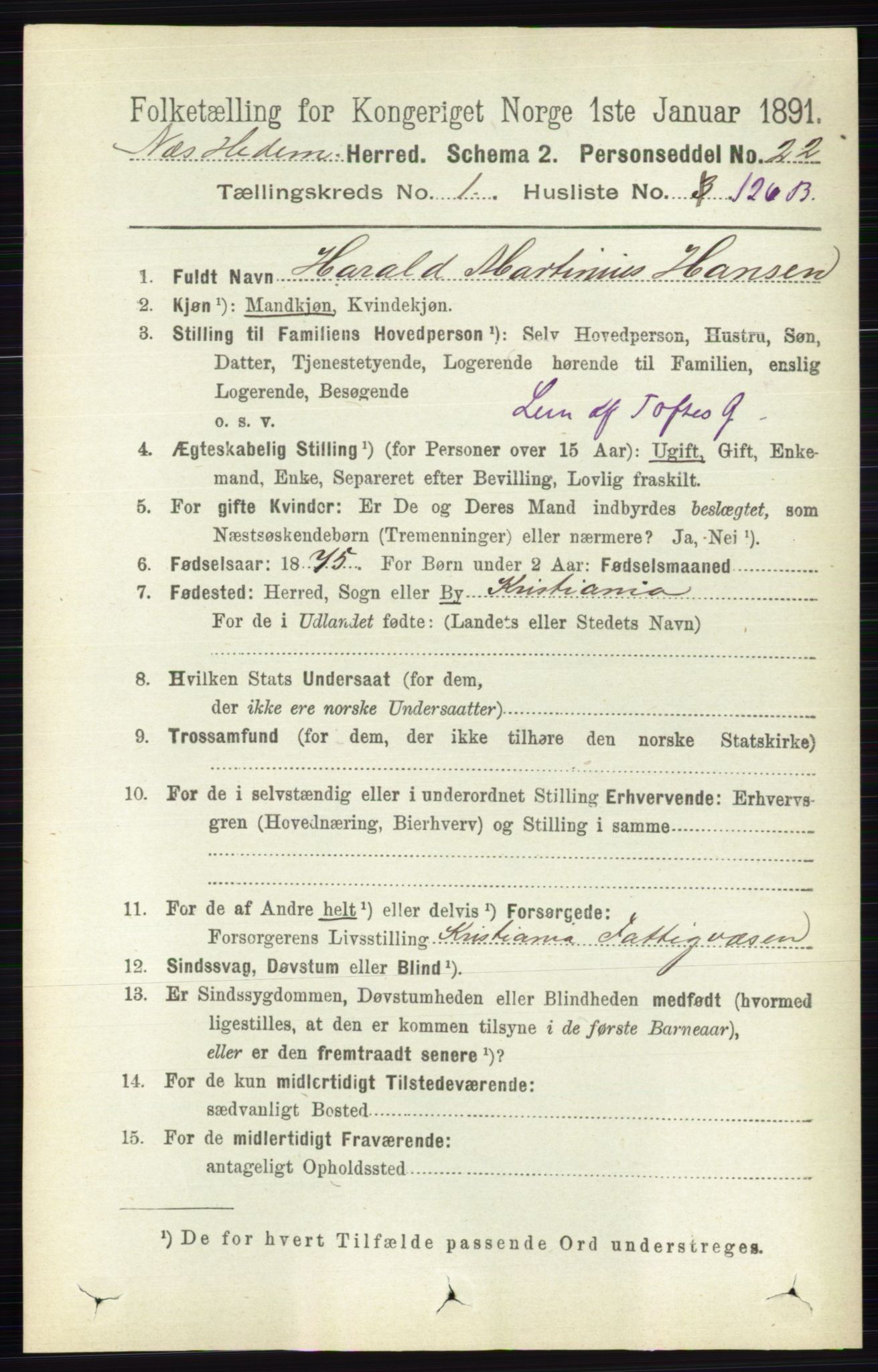RA, Folketelling 1891 for 0411 Nes herred, 1891, s. 929