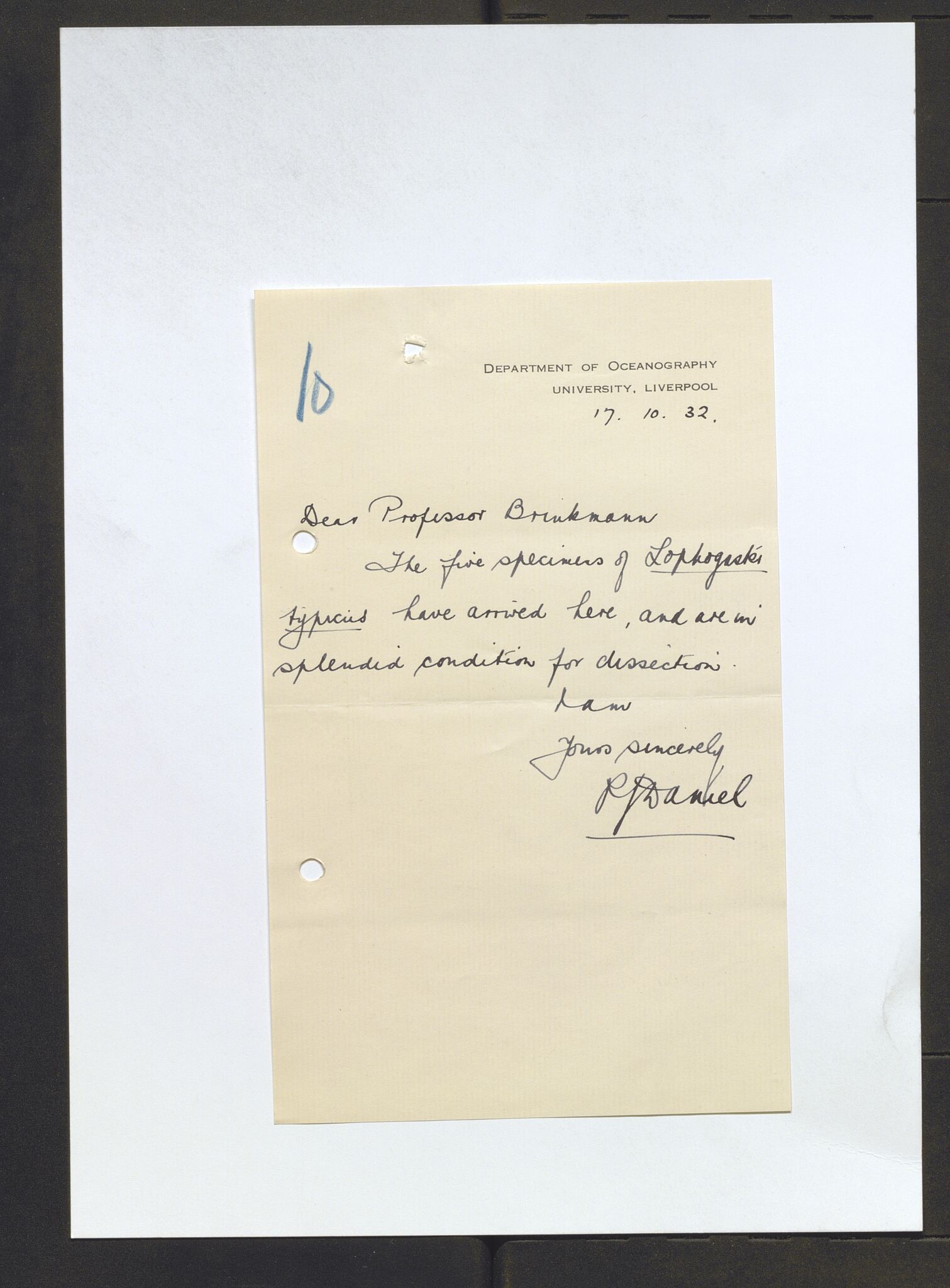 Bergens Museum, AV/SAB-A-17301/13/D/L0002: Korrespondanse , 1928-1940, s. 393