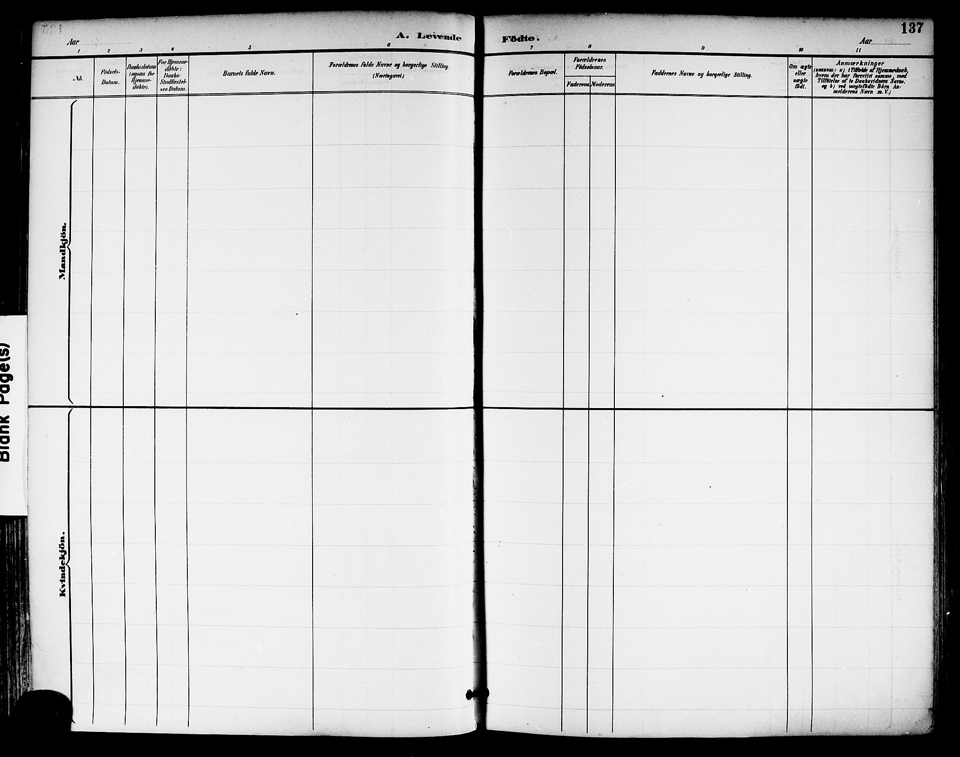 Tønsberg kirkebøker, AV/SAKO-A-330/F/Fa/L0012: Ministerialbok nr. I 12, 1891-1899, s. 137