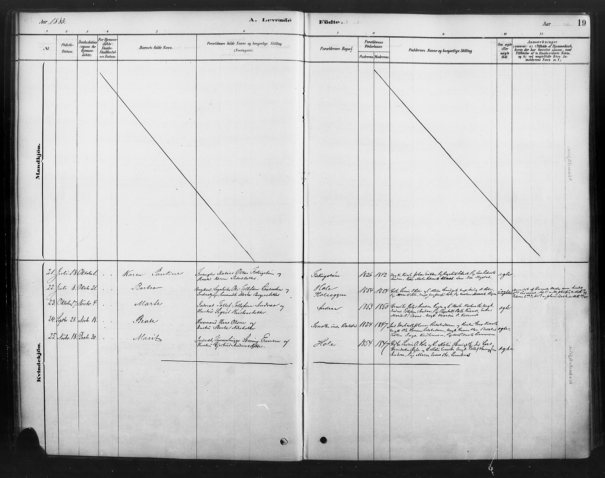 Rendalen prestekontor, SAH/PREST-054/H/Ha/Haa/L0010: Ministerialbok nr. 10, 1878-1901, s. 19