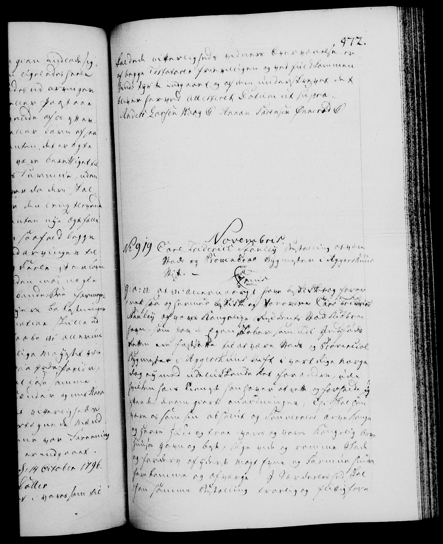 Danske Kanselli 1572-1799, RA/EA-3023/F/Fc/Fca/Fcaa/L0056: Norske registre, 1795-1796, s. 972a