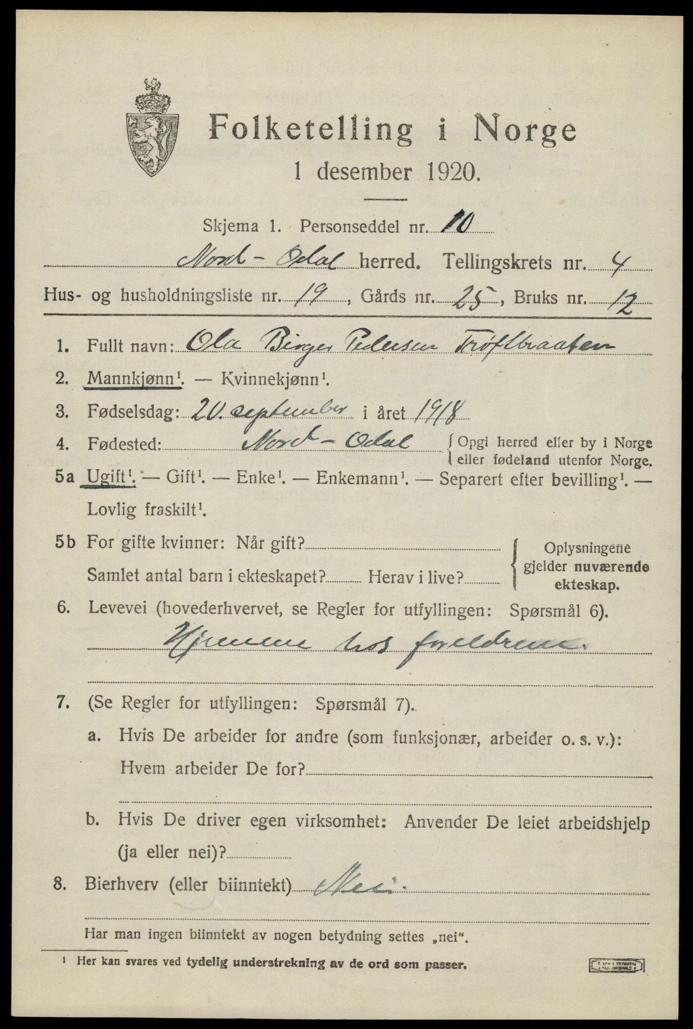 SAH, Folketelling 1920 for 0418 Nord-Odal herred, 1920, s. 4913