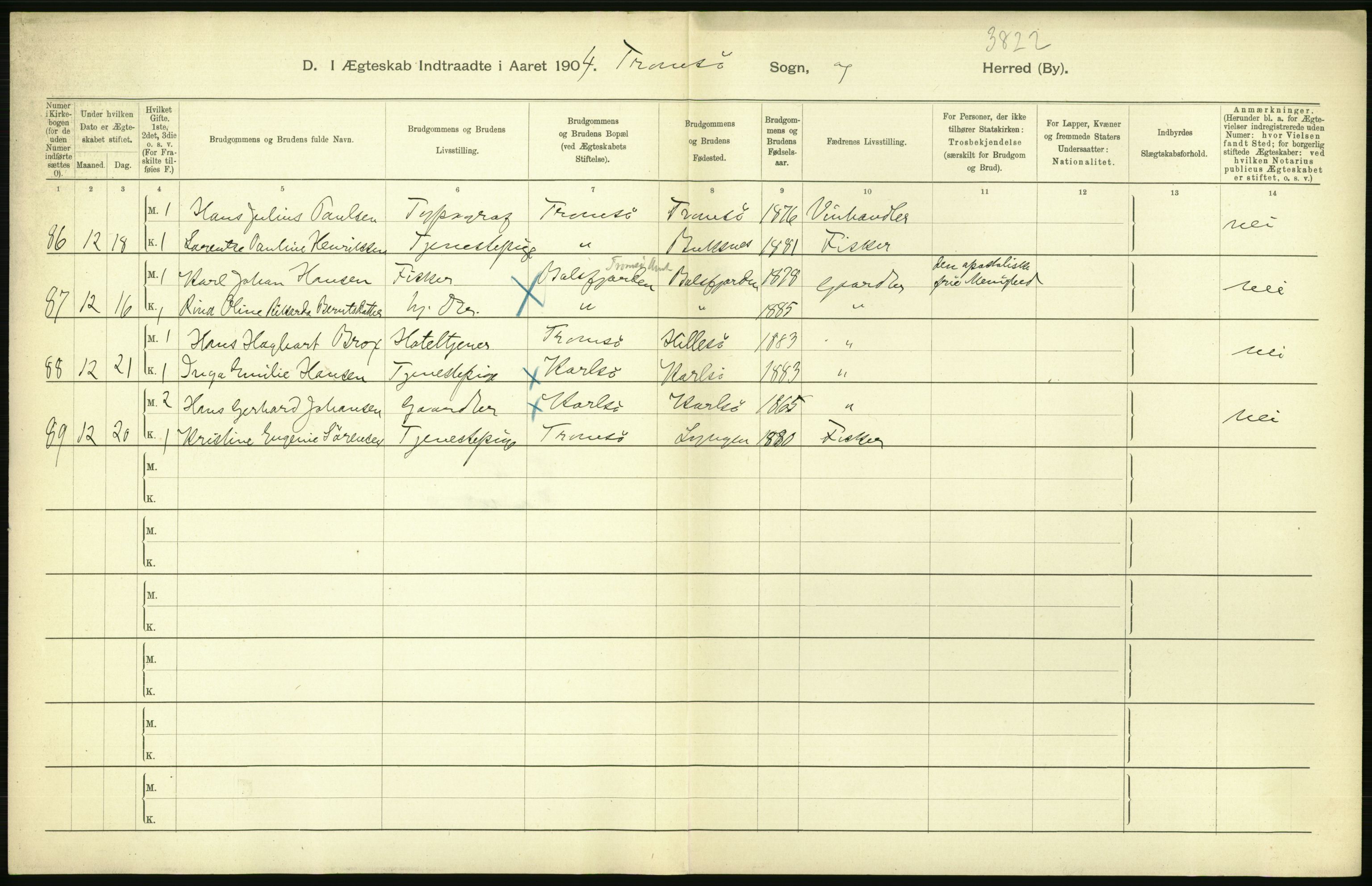 Statistisk sentralbyrå, Sosiodemografiske emner, Befolkning, AV/RA-S-2228/D/Df/Dfa/Dfab/L0022: Tromsø amt: Fødte, gifte, døde, 1904, s. 376