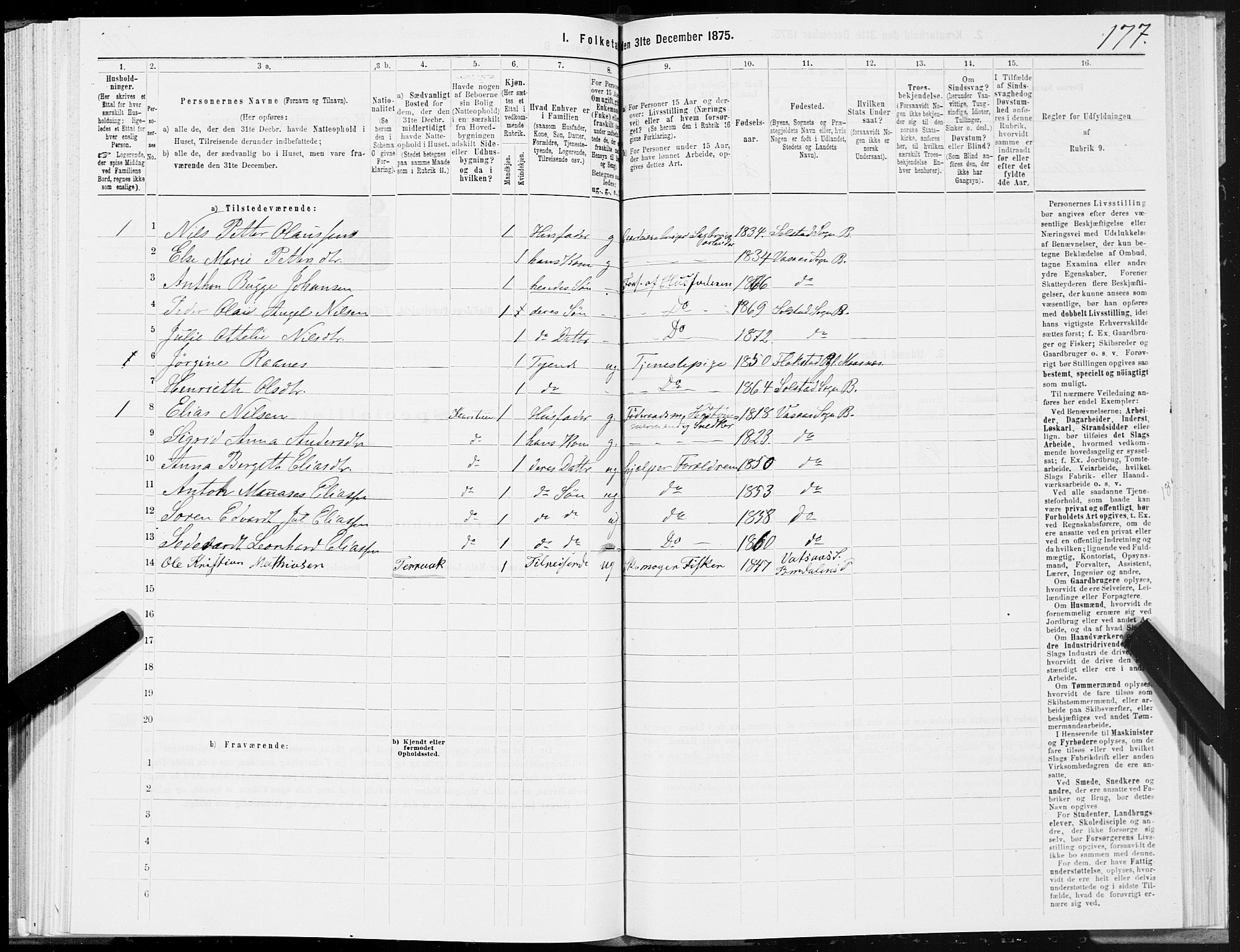 SAT, Folketelling 1875 for 1811P Bindal prestegjeld, 1875, s. 1177