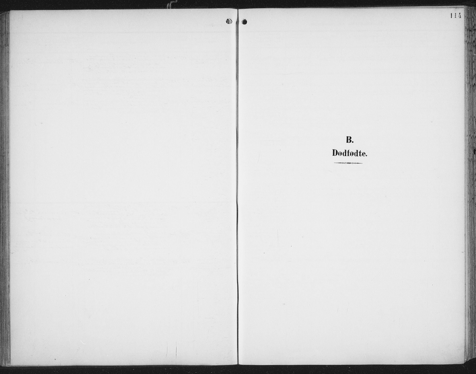 Ministerialprotokoller, klokkerbøker og fødselsregistre - Nord-Trøndelag, AV/SAT-A-1458/701/L0011: Ministerialbok nr. 701A11, 1899-1915, s. 114