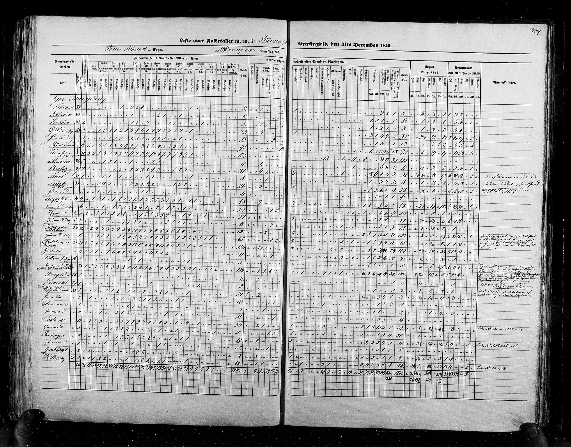 RA, Folketellingen 1845, bind 6: Lister og Mandal amt og Stavanger amt, 1845, s. 304