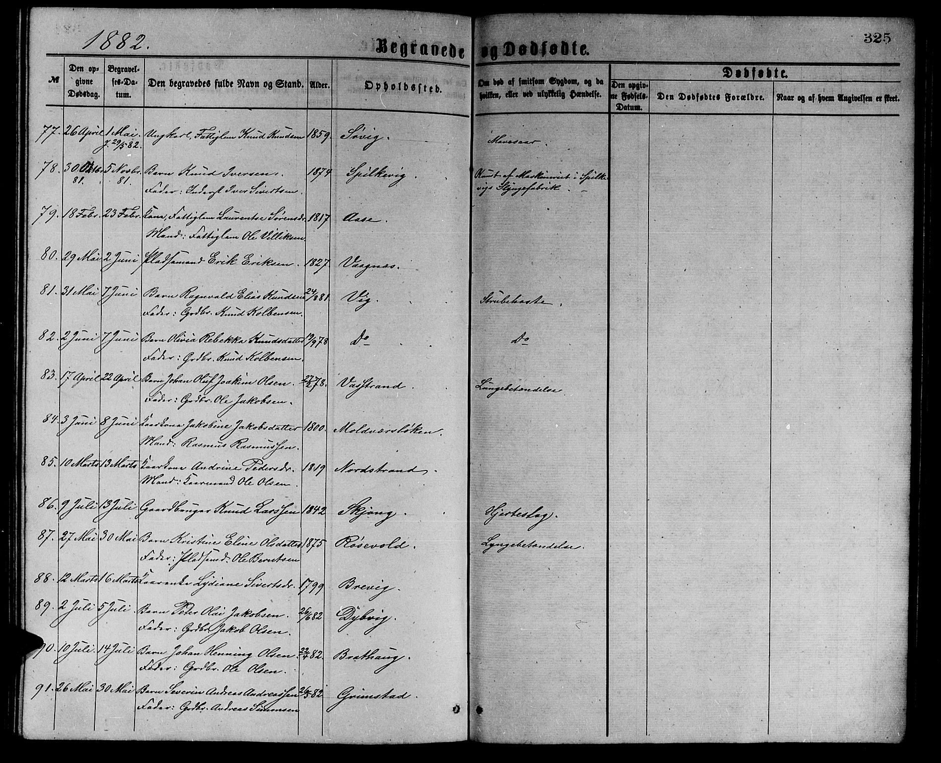 Ministerialprotokoller, klokkerbøker og fødselsregistre - Møre og Romsdal, AV/SAT-A-1454/528/L0429: Klokkerbok nr. 528C10, 1872-1886, s. 325