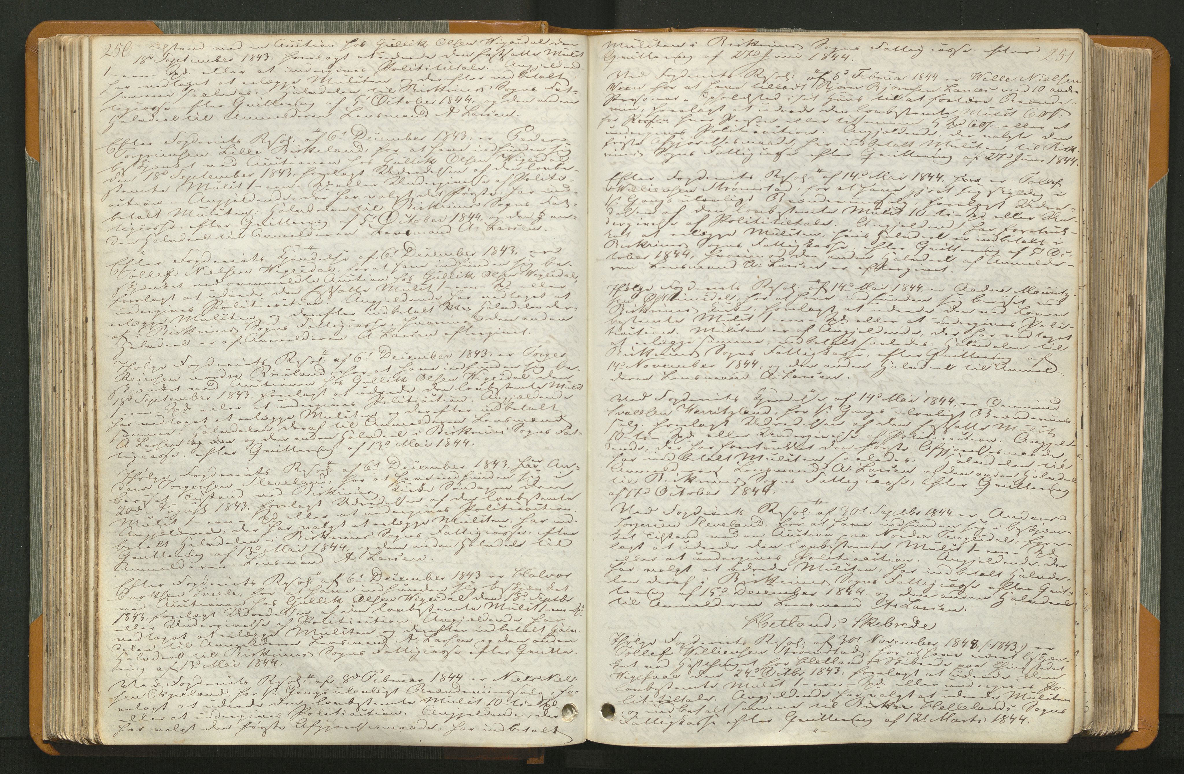 Jæren og Dalane sorenskriveri, AV/SAST-A-100306/3/30/30BAA/L0004: Tingbok for Dalane, 1843-1849, s. 250-251