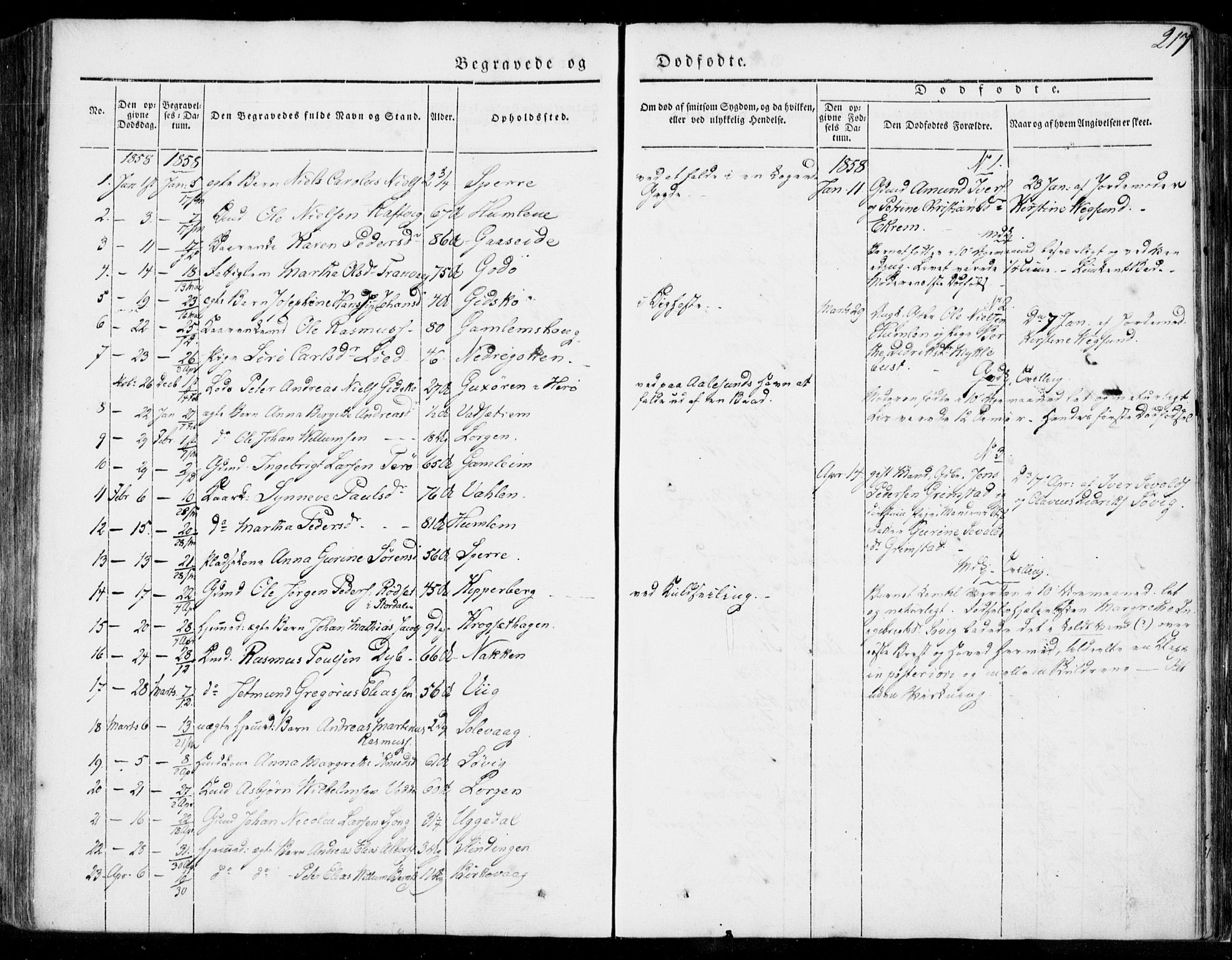 Ministerialprotokoller, klokkerbøker og fødselsregistre - Møre og Romsdal, AV/SAT-A-1454/528/L0396: Ministerialbok nr. 528A07, 1839-1847, s. 217