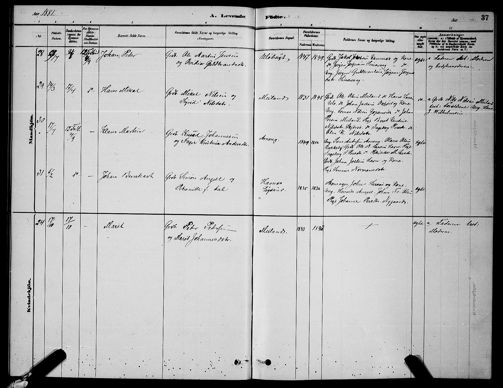 Skjervøy sokneprestkontor, AV/SATØ-S-1300/H/Ha/Hab/L0006klokker: Klokkerbok nr. 6, 1878-1888, s. 37