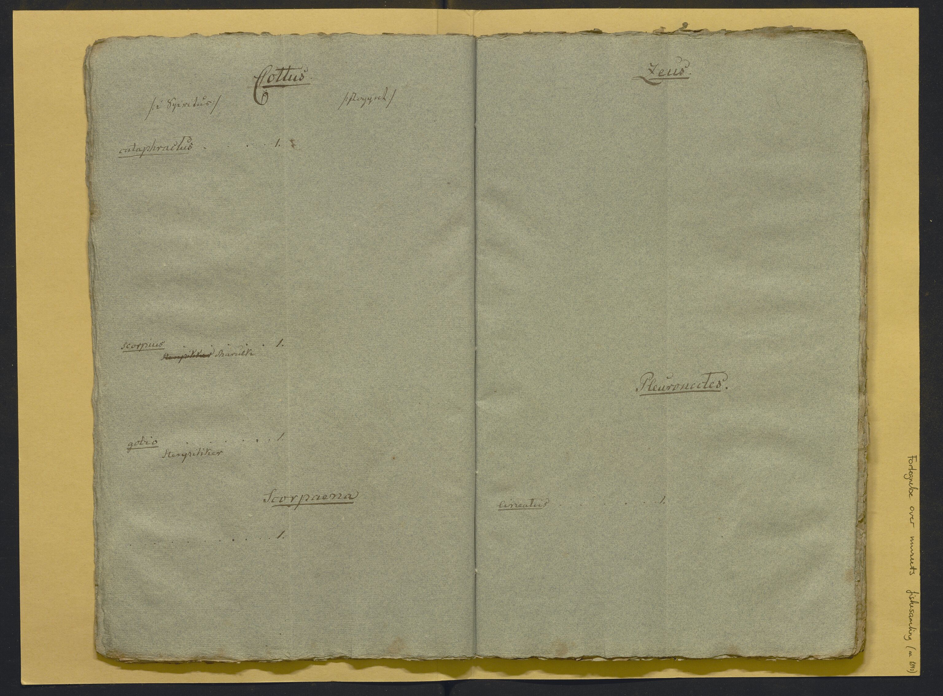 Bergens Museum, AV/SAB-A-17301/02/F/L0001: Kataloger over gjenstander og pergamentbrev , 1825-1880, s. 501