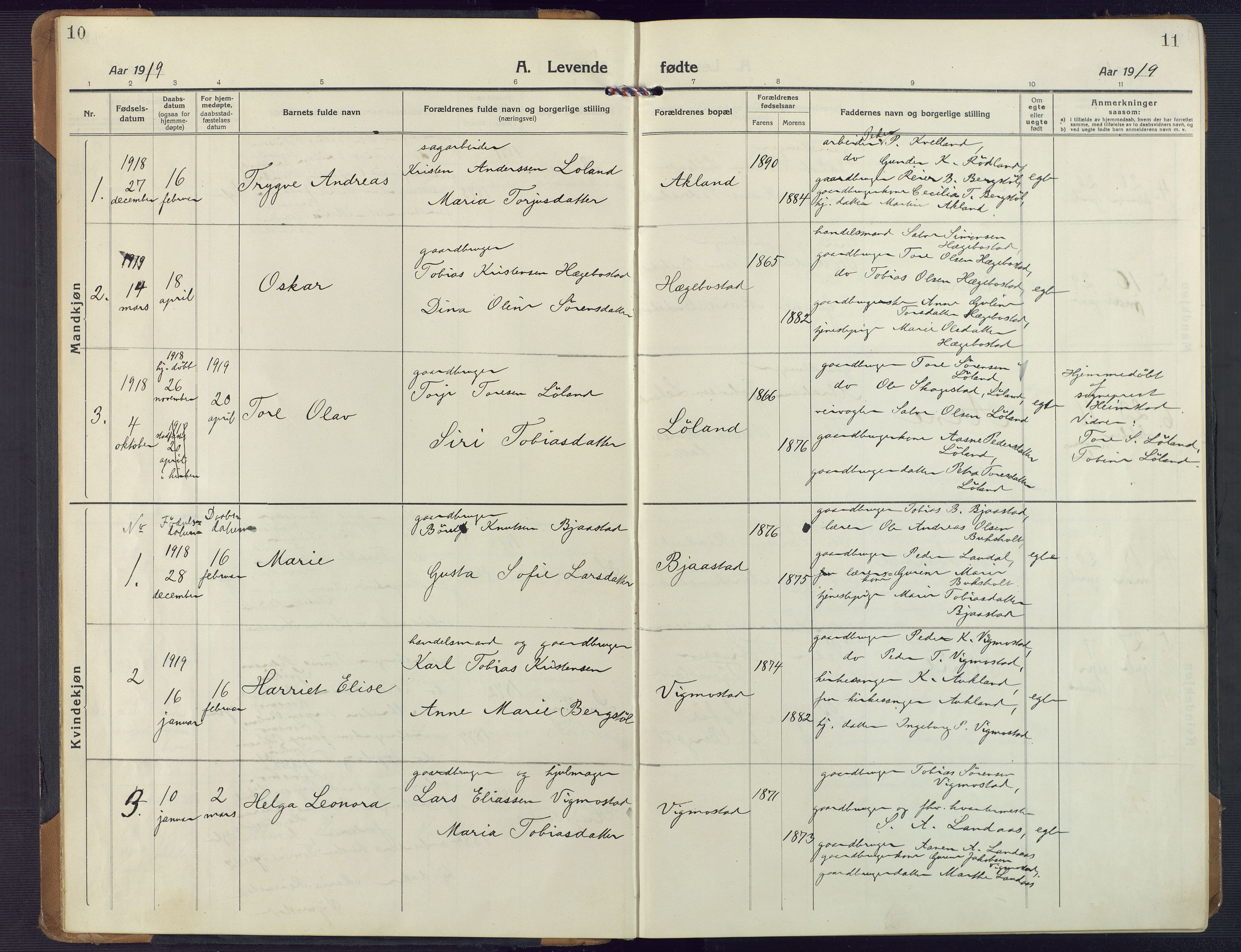 Nord-Audnedal sokneprestkontor, AV/SAK-1111-0032/F/Fa/Fab/L0005: Ministerialbok nr. A 5, 1918-1925, s. 10-11
