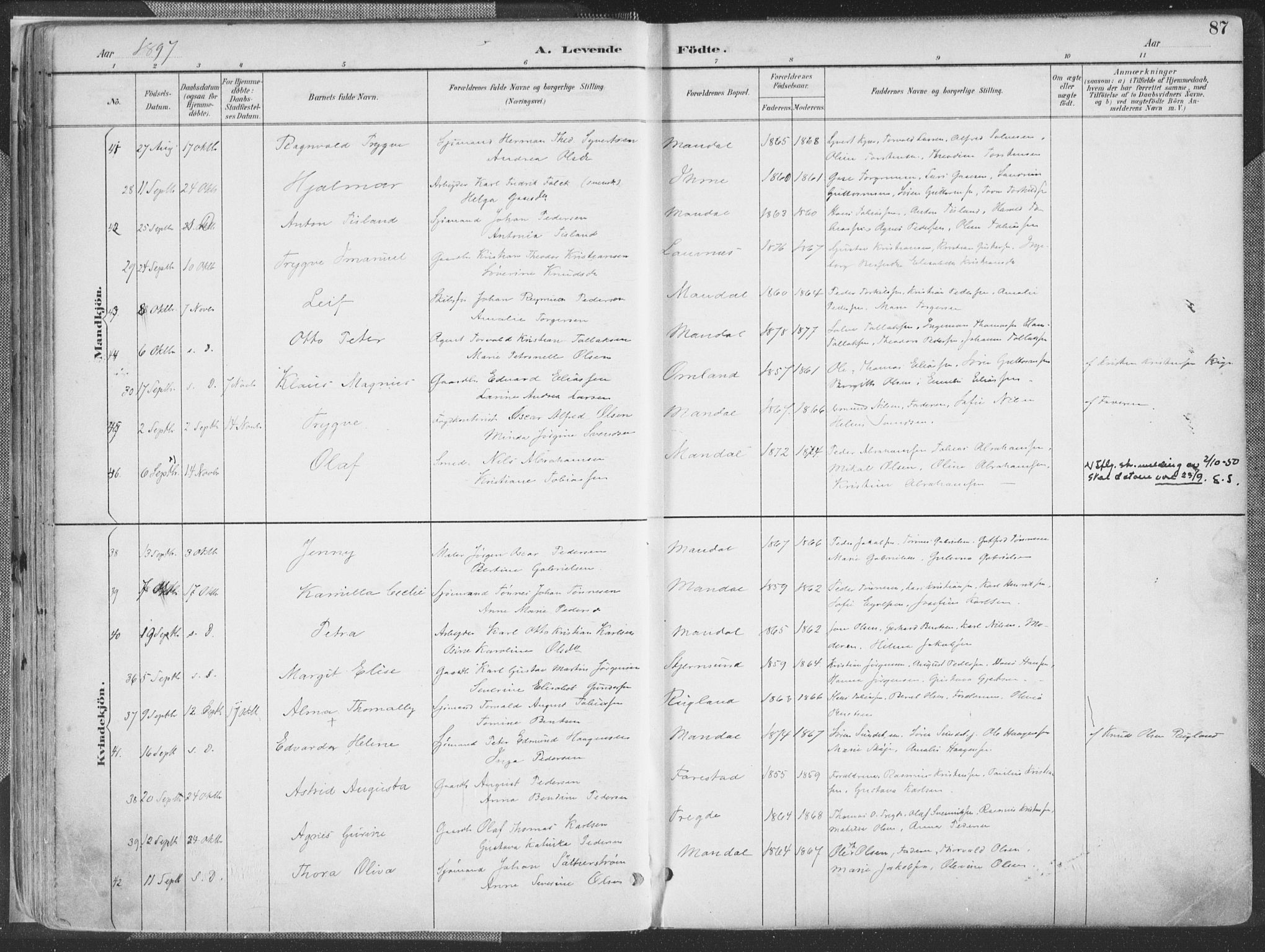 Mandal sokneprestkontor, SAK/1111-0030/F/Fa/Faa/L0018: Ministerialbok nr. A 18, 1890-1905, s. 87