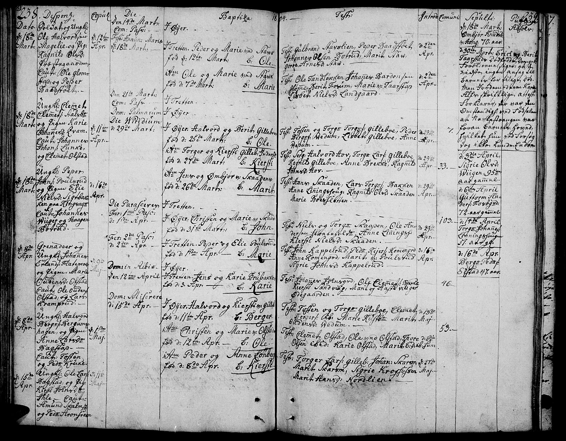 Øyer prestekontor, AV/SAH-PREST-084/H/Ha/Haa/L0003: Ministerialbok nr. 3, 1784-1824, s. 238-239