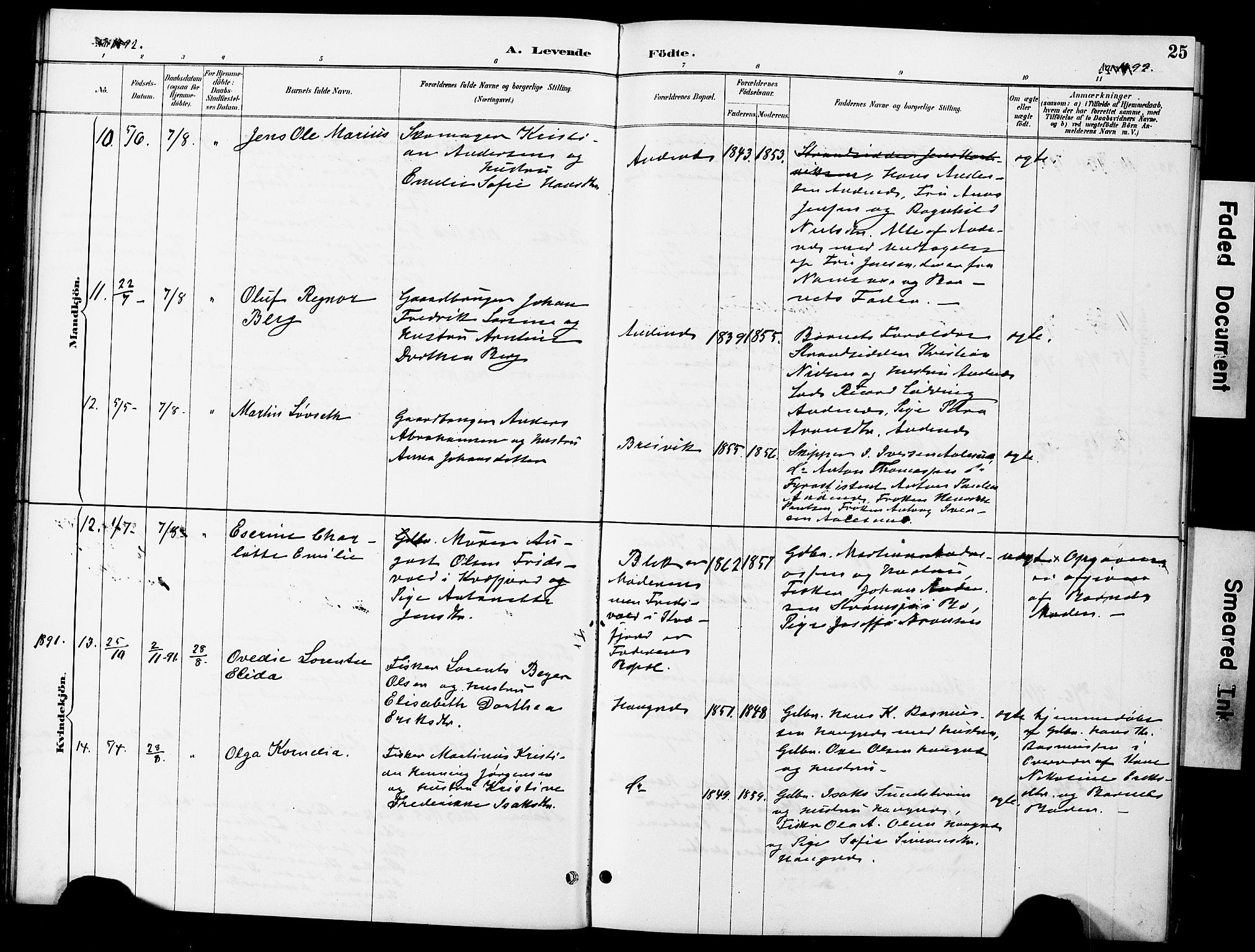 Ministerialprotokoller, klokkerbøker og fødselsregistre - Nordland, AV/SAT-A-1459/899/L1448: Klokkerbok nr. 899C03, 1887-1902, s. 25