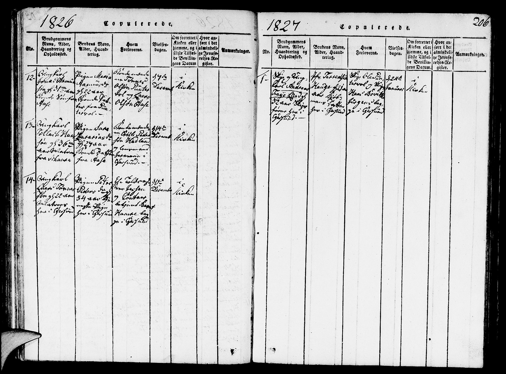 Eigersund sokneprestkontor, SAST/A-101807/S09/L0001: Klokkerbok nr. B 1, 1815-1827, s. 206