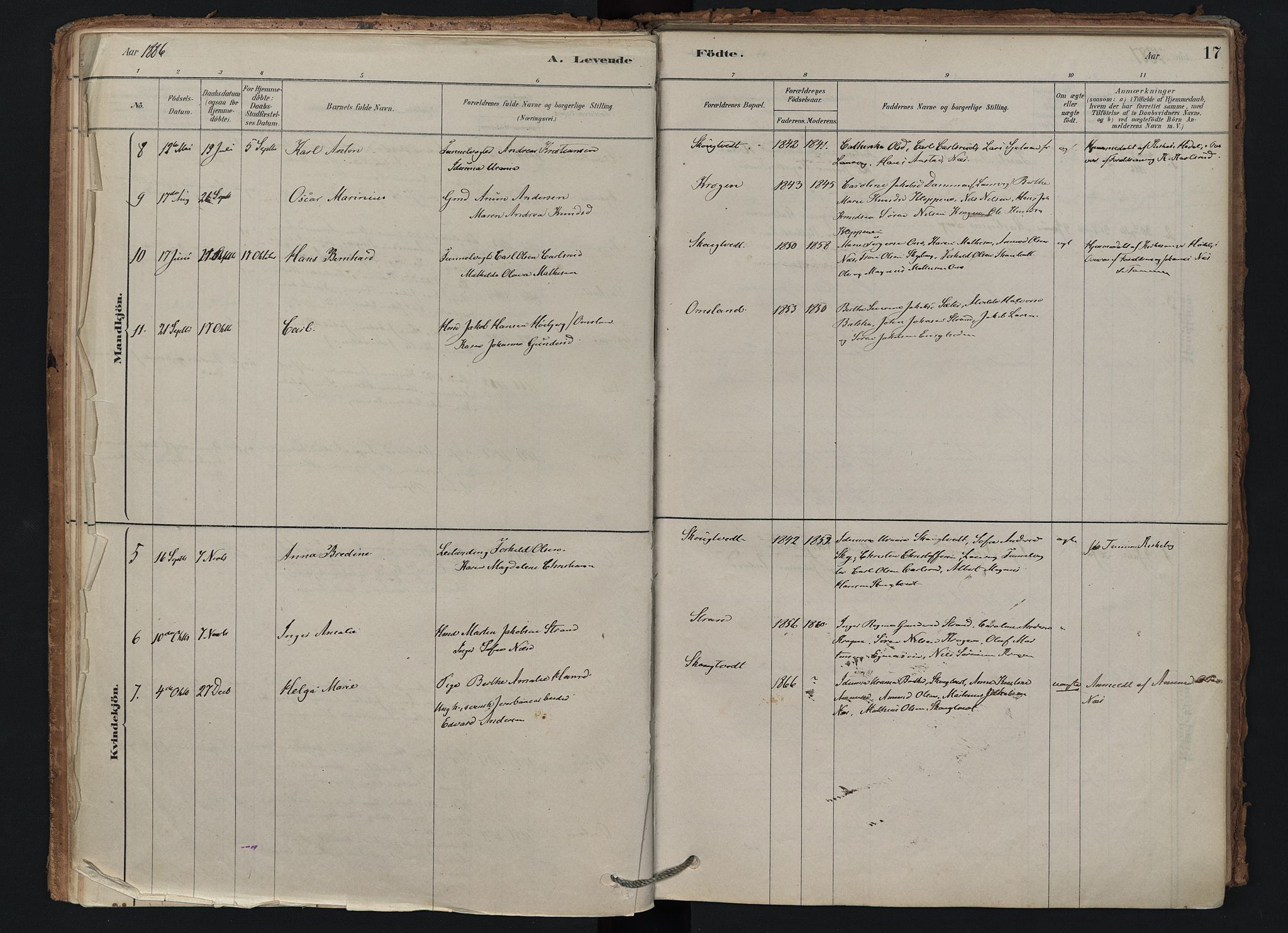 Brunlanes kirkebøker, AV/SAKO-A-342/F/Fd/L0001: Ministerialbok nr. IV 1, 1878-1917, s. 17