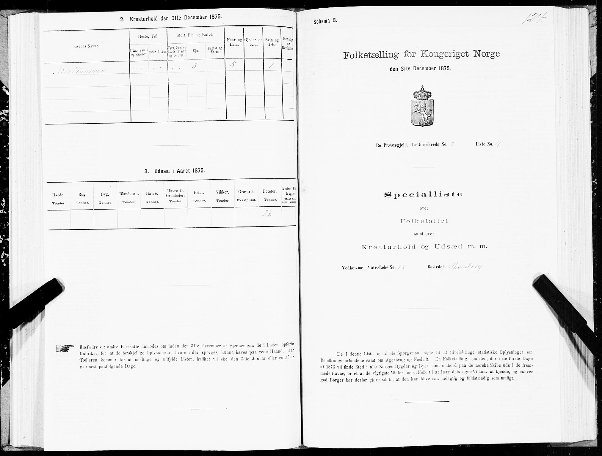 SAT, Folketelling 1875 for 1867P Bø prestegjeld, 1875, s. 1124