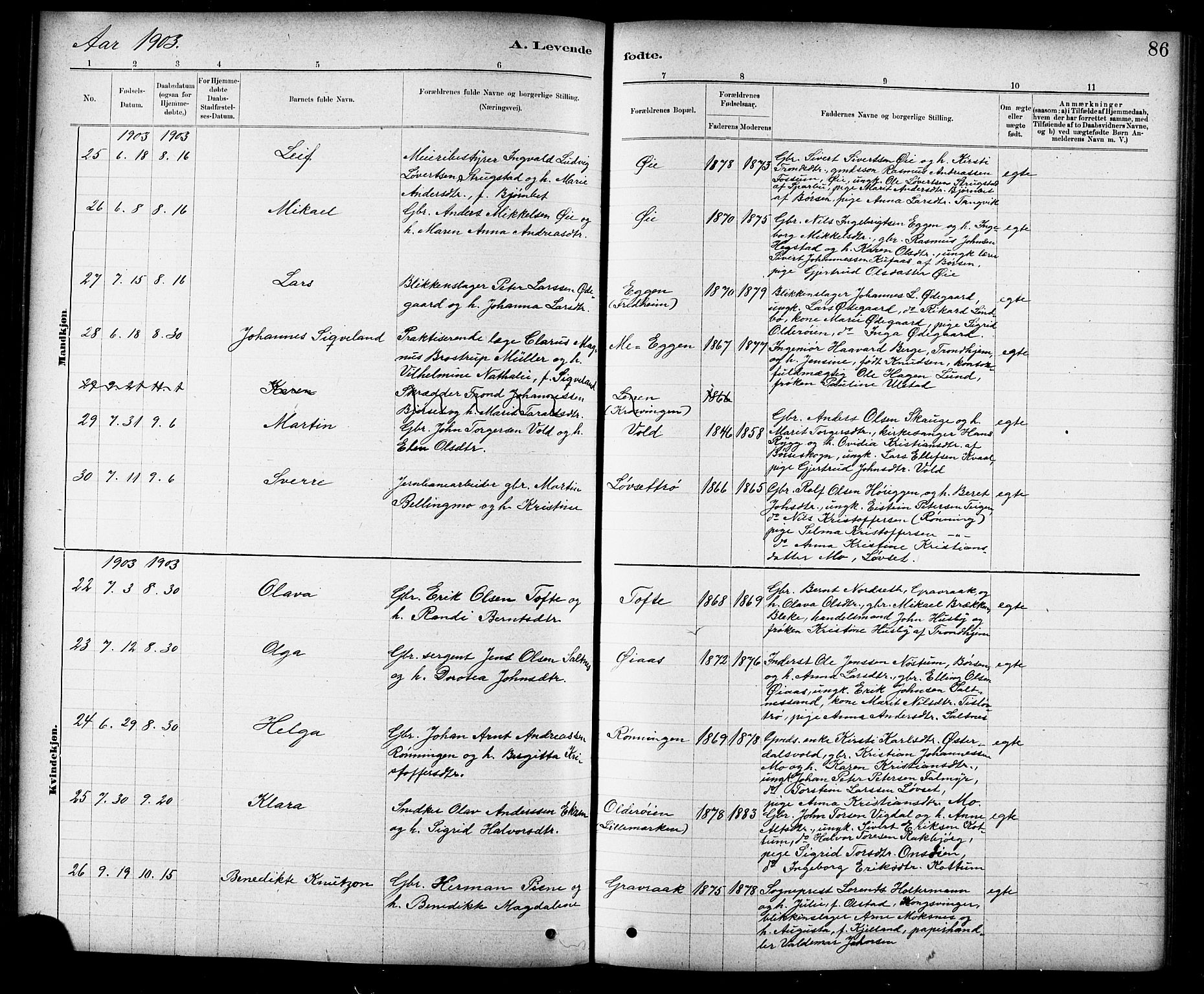 Ministerialprotokoller, klokkerbøker og fødselsregistre - Sør-Trøndelag, AV/SAT-A-1456/691/L1094: Klokkerbok nr. 691C05, 1879-1911, s. 86