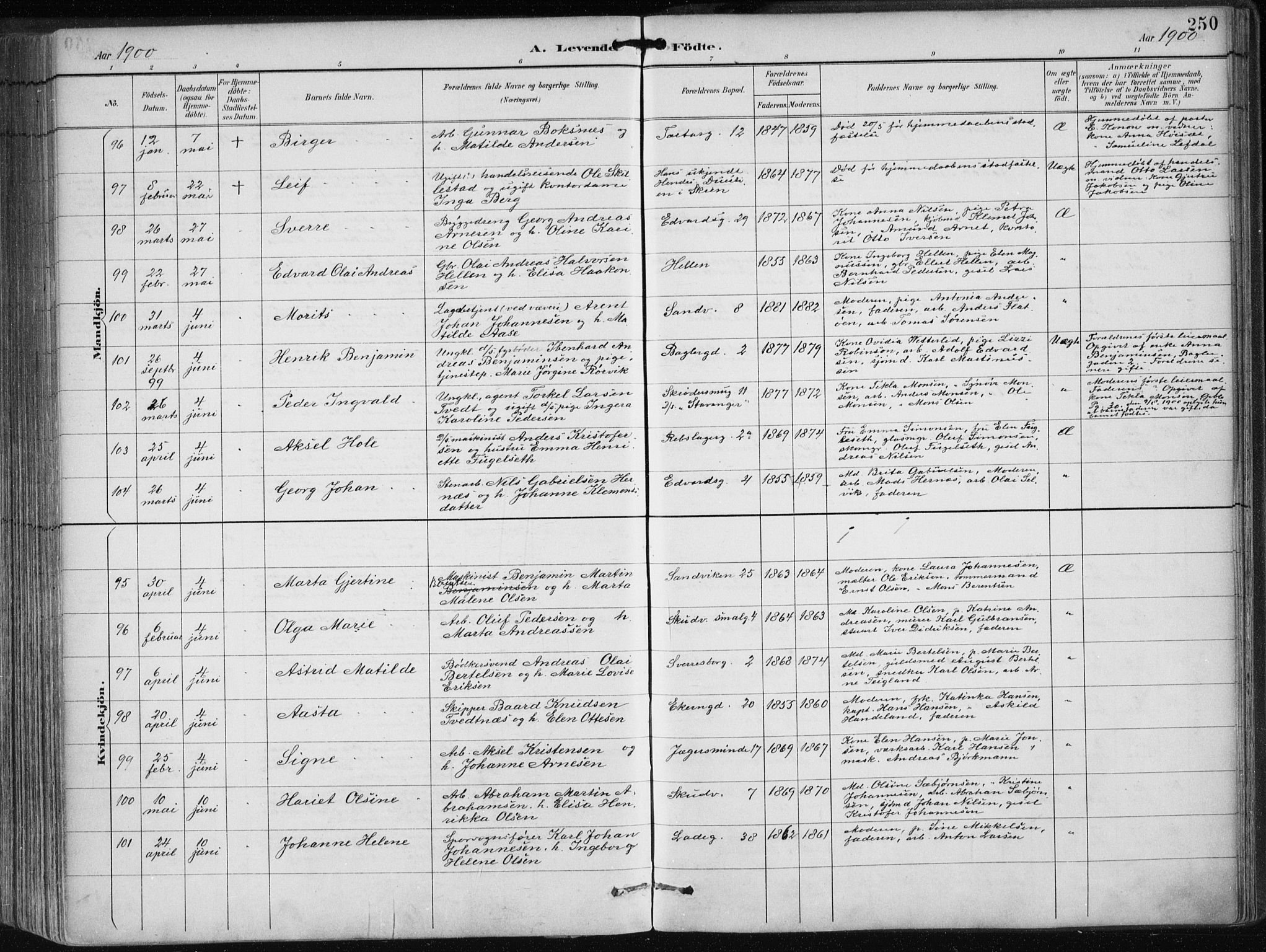 Sandviken Sokneprestembete, AV/SAB-A-77601/H/Ha/L0005: Ministerialbok nr. B 2, 1891-1901, s. 250