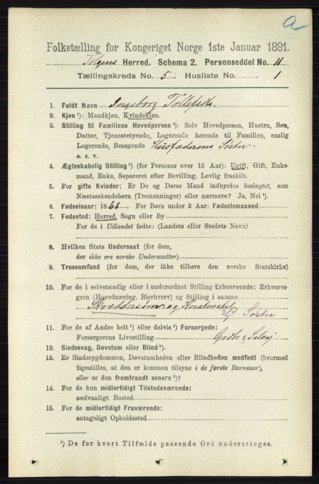RA, Folketelling 1891 for 0436 Tolga herred, 1891, s. 1302