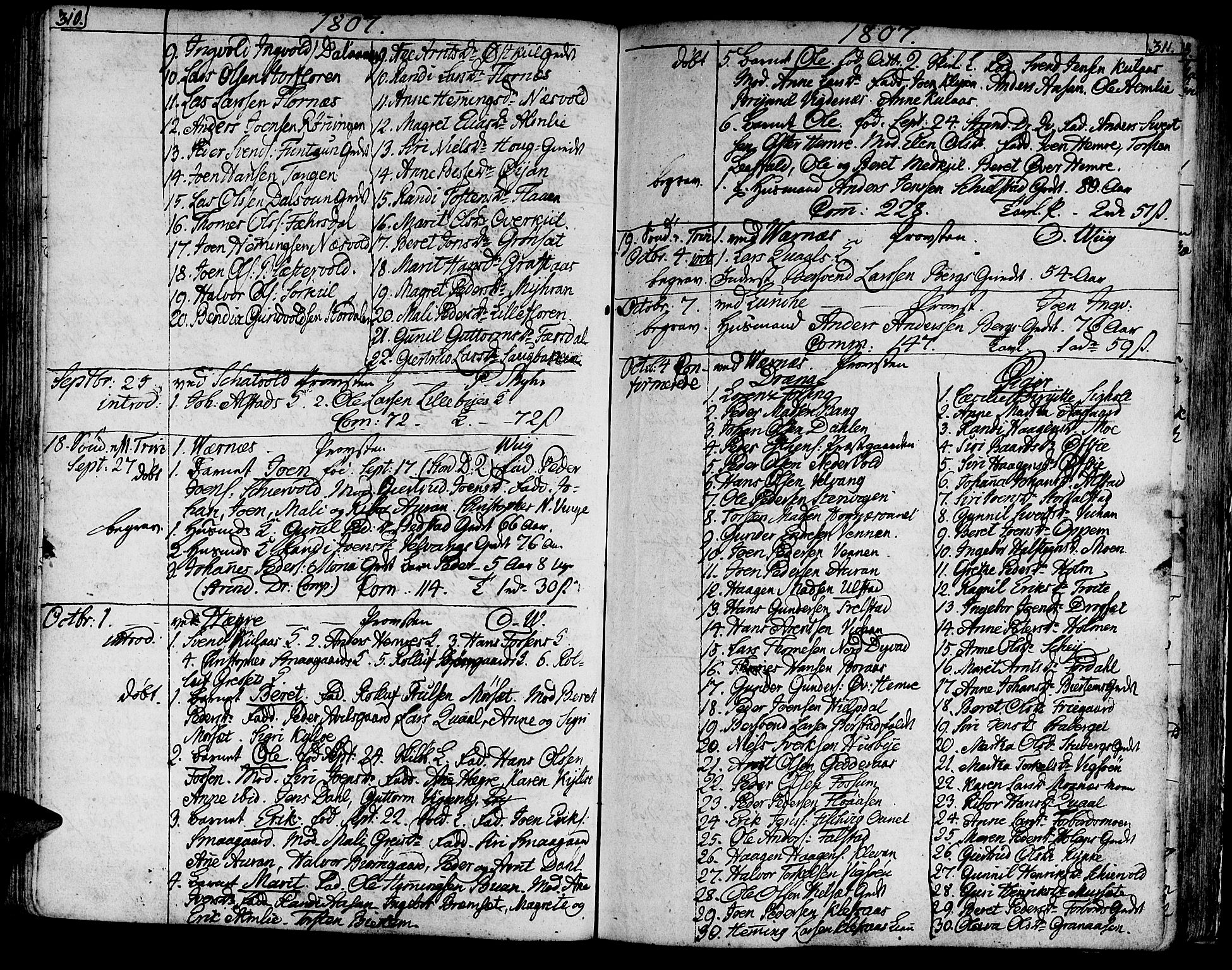 Ministerialprotokoller, klokkerbøker og fødselsregistre - Nord-Trøndelag, SAT/A-1458/709/L0060: Ministerialbok nr. 709A07, 1797-1815, s. 310-311