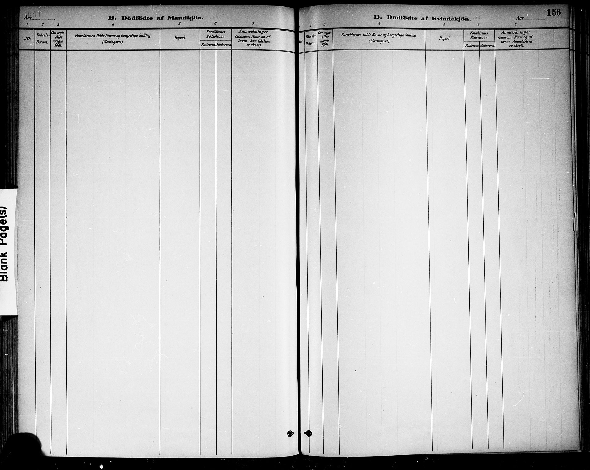 Drangedal kirkebøker, AV/SAKO-A-258/F/Fa/L0010: Ministerialbok nr. 10 /1, 1885-1894, s. 156