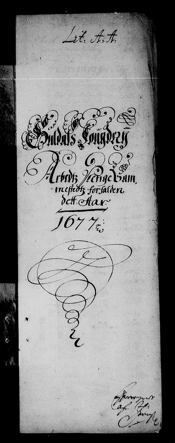 Rentekammeret inntil 1814, Reviderte regnskaper, Stiftamtstueregnskaper, Trondheim stiftamt og Nordland amt, AV/RA-EA-6044/R/Re/L0046: Trondheim stiftamt og Nordland amt, 1677