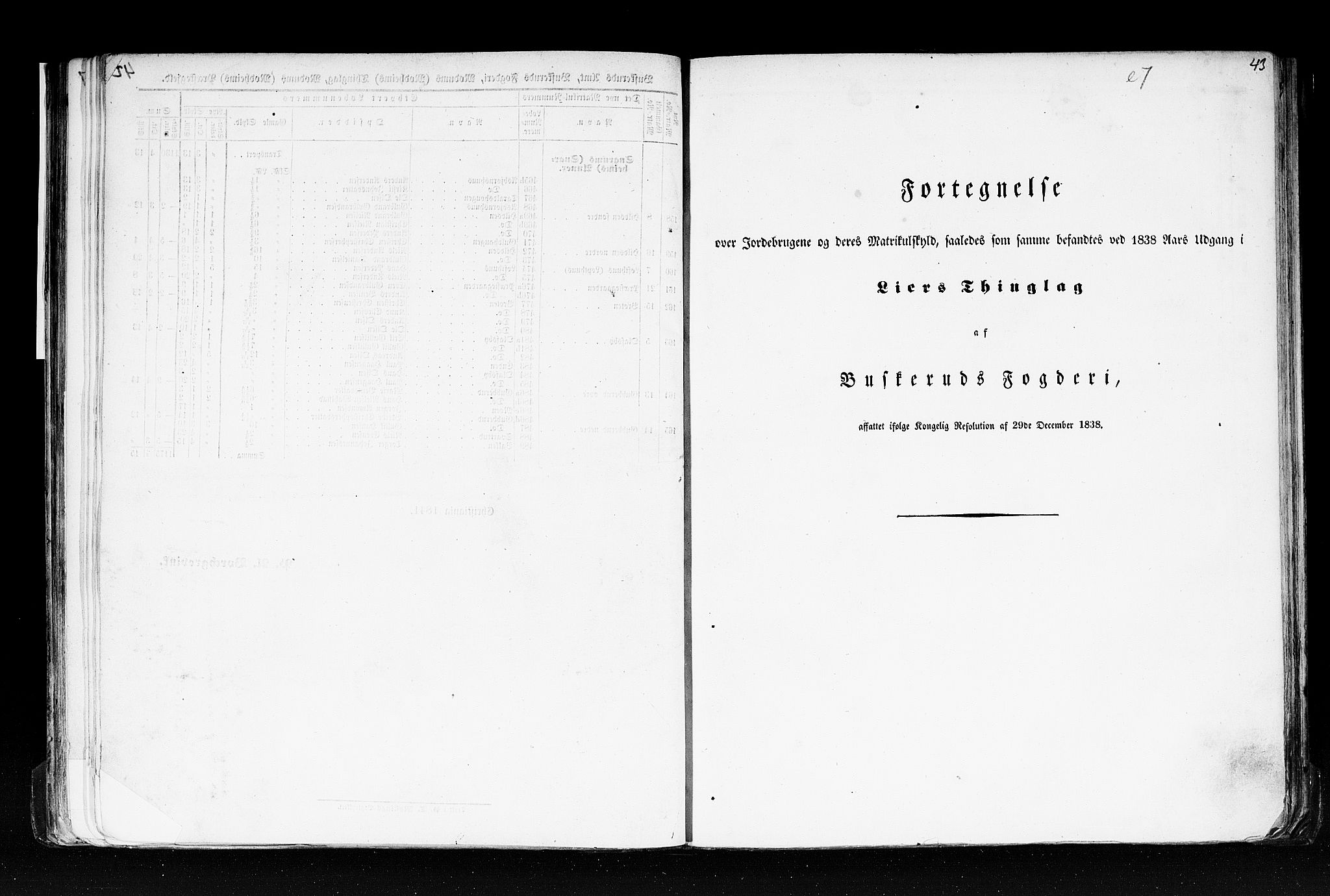Rygh, RA/PA-0034/F/Fb/L0005: Matrikkelen for 1838 - Buskerud amt (Buskerud fylke), 1838, s. 43a