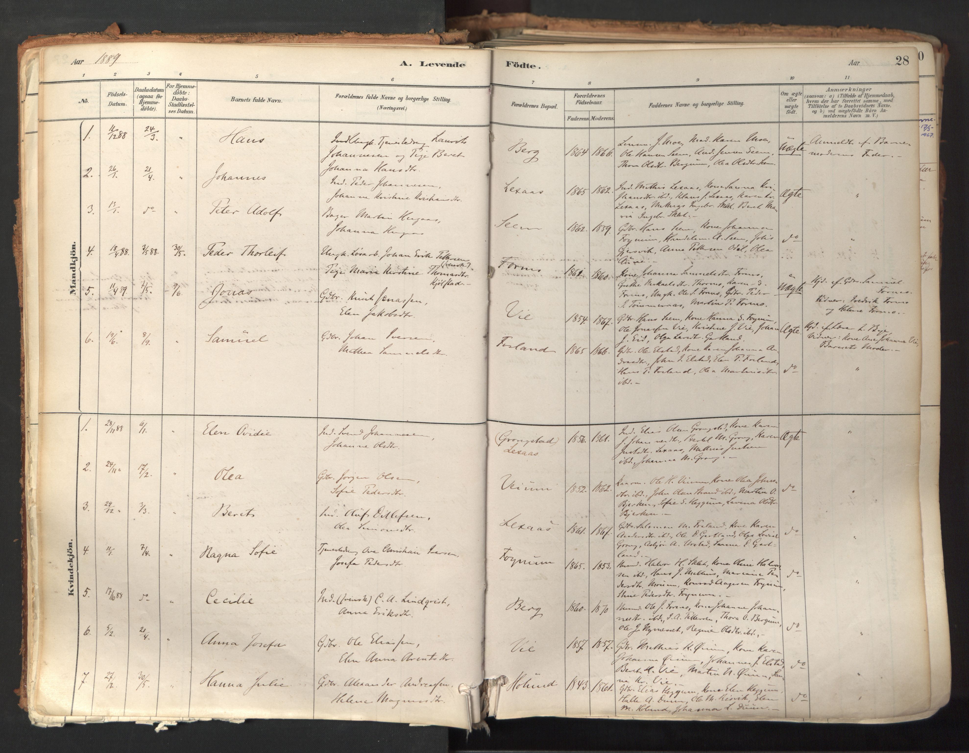 Ministerialprotokoller, klokkerbøker og fødselsregistre - Nord-Trøndelag, AV/SAT-A-1458/758/L0519: Ministerialbok nr. 758A04, 1880-1926, s. 28