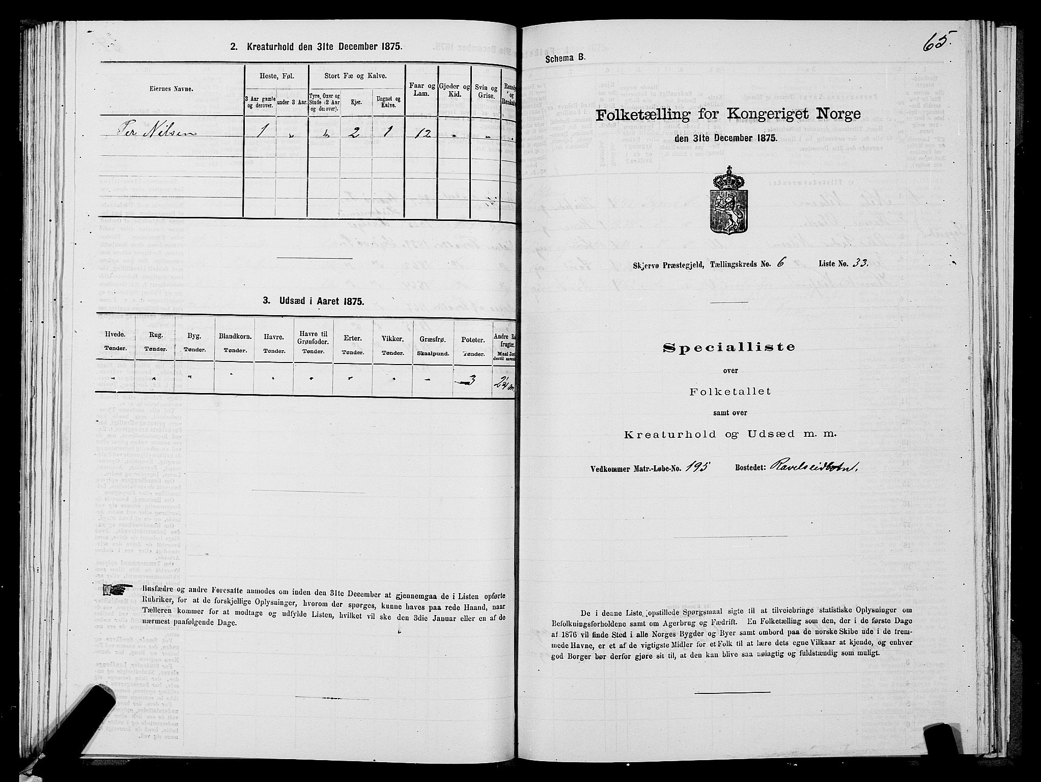 SATØ, Folketelling 1875 for 1941P Skjervøy prestegjeld, 1875, s. 5065