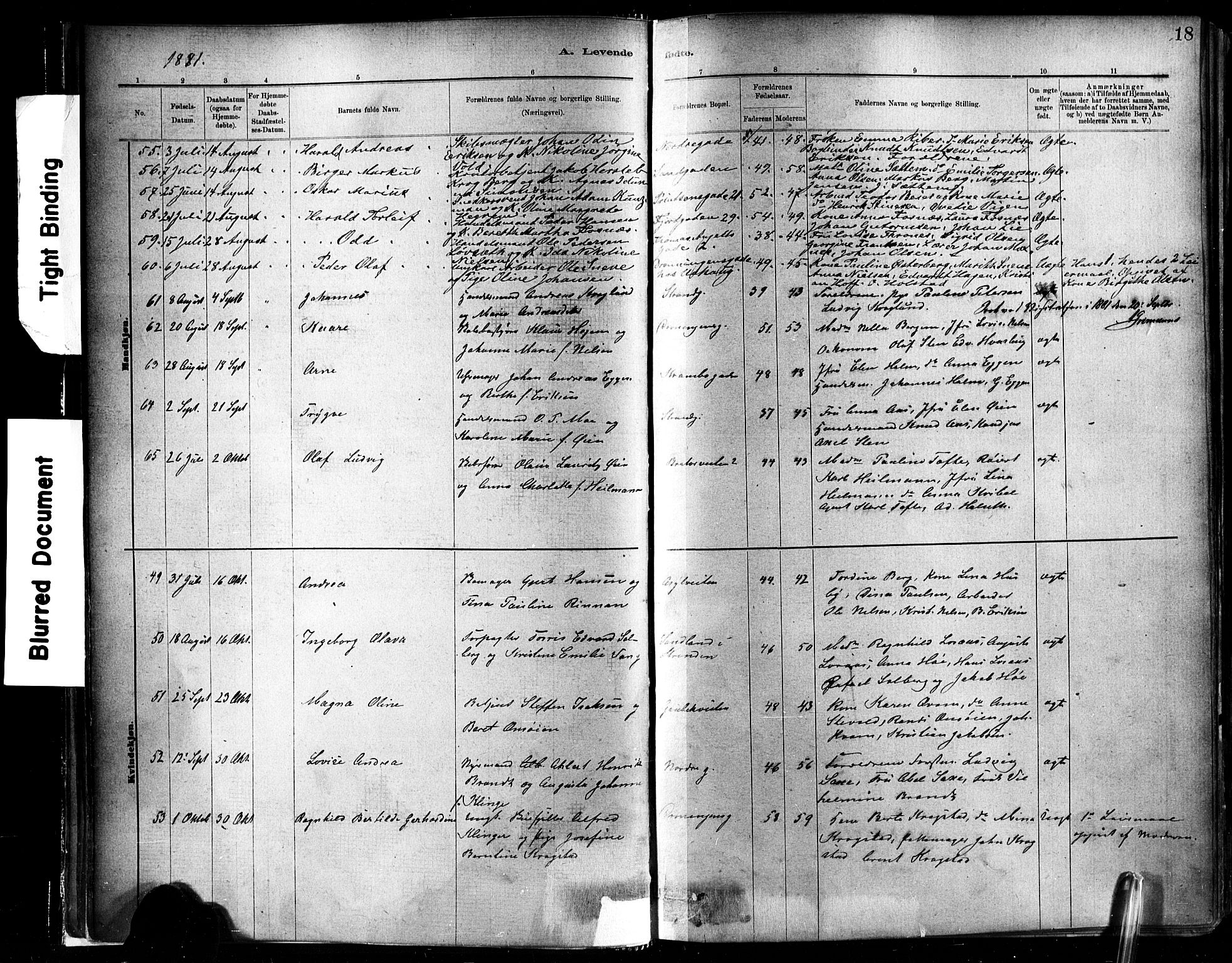 Ministerialprotokoller, klokkerbøker og fødselsregistre - Sør-Trøndelag, SAT/A-1456/602/L0119: Ministerialbok nr. 602A17, 1880-1901, s. 18