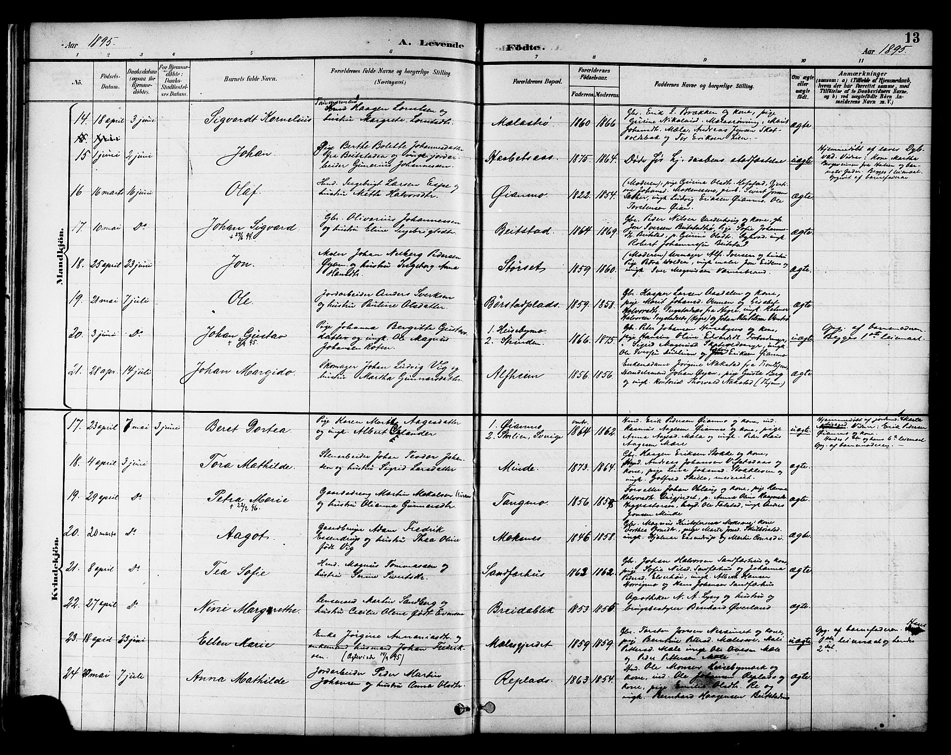 Ministerialprotokoller, klokkerbøker og fødselsregistre - Nord-Trøndelag, SAT/A-1458/709/L0087: Klokkerbok nr. 709C01, 1892-1913, s. 13