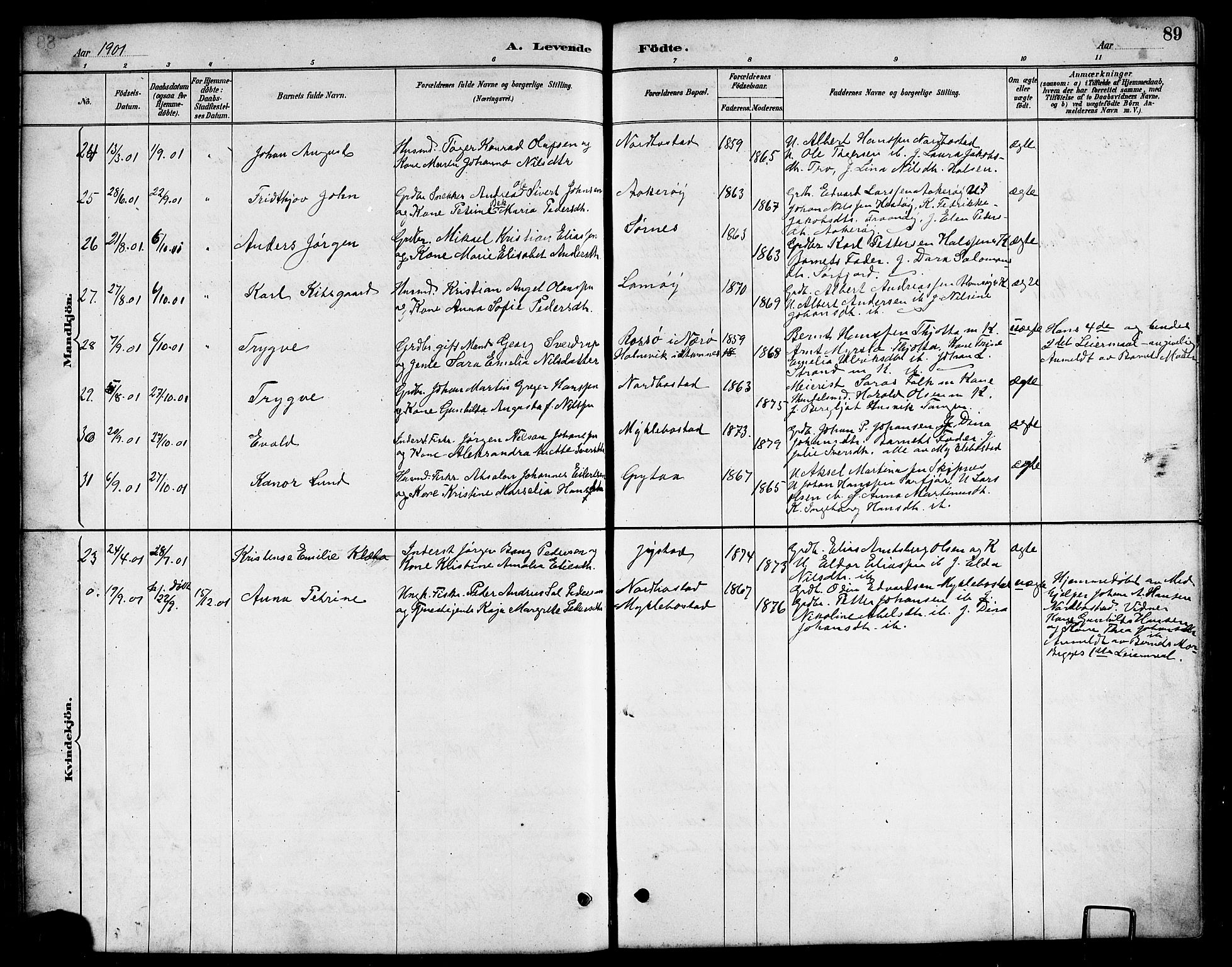 Ministerialprotokoller, klokkerbøker og fødselsregistre - Nordland, SAT/A-1459/817/L0268: Klokkerbok nr. 817C03, 1884-1920, s. 89