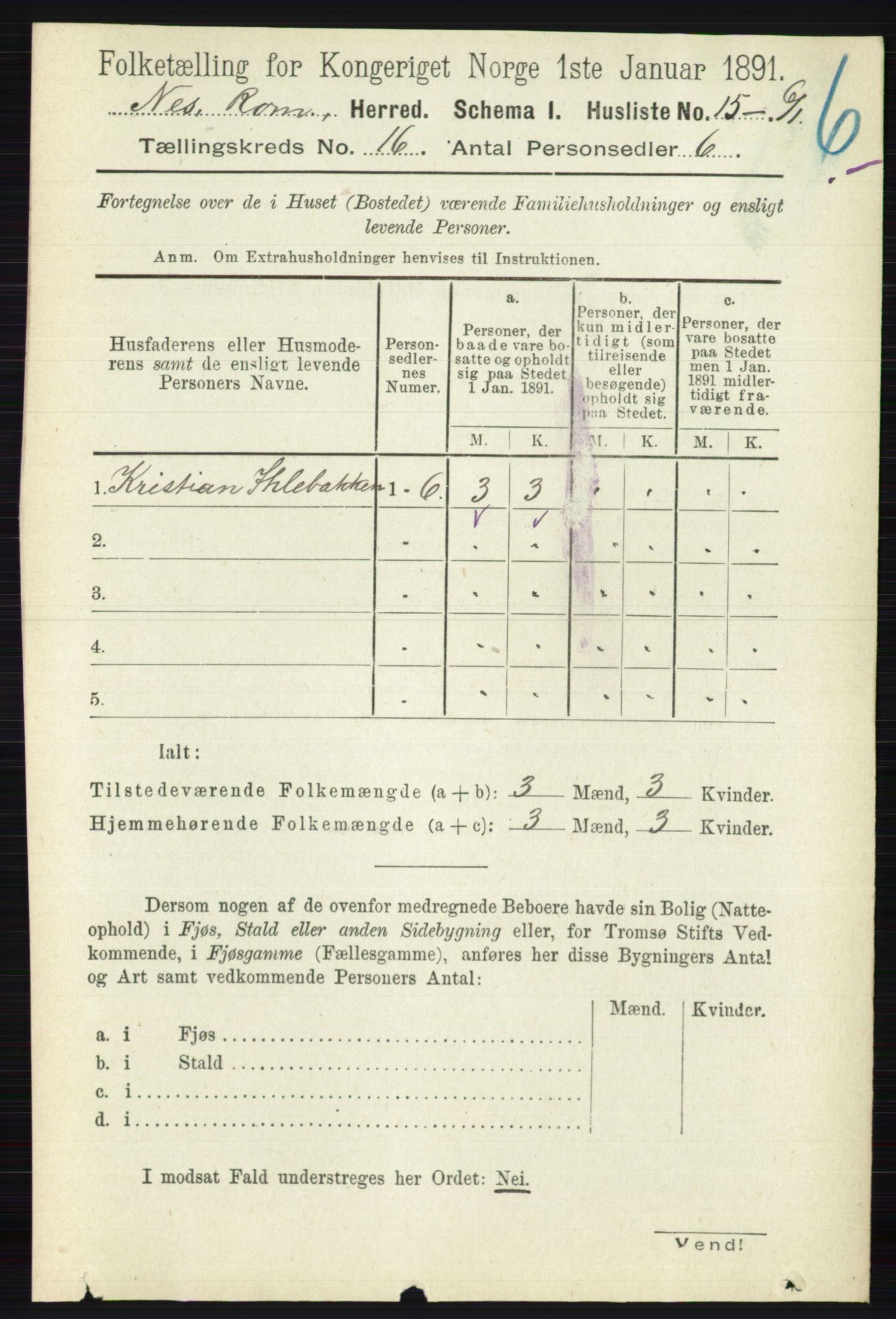 RA, Folketelling 1891 for 0236 Nes herred, 1891, s. 9513