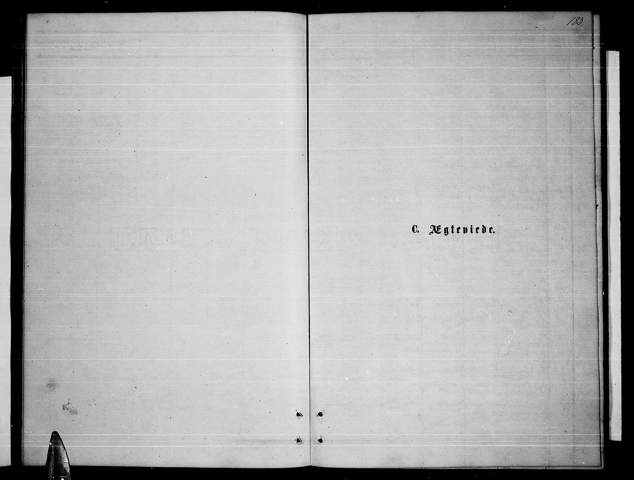 Ministerialprotokoller, klokkerbøker og fødselsregistre - Nordland, AV/SAT-A-1459/859/L0858: Klokkerbok nr. 859C04, 1873-1886, s. 183