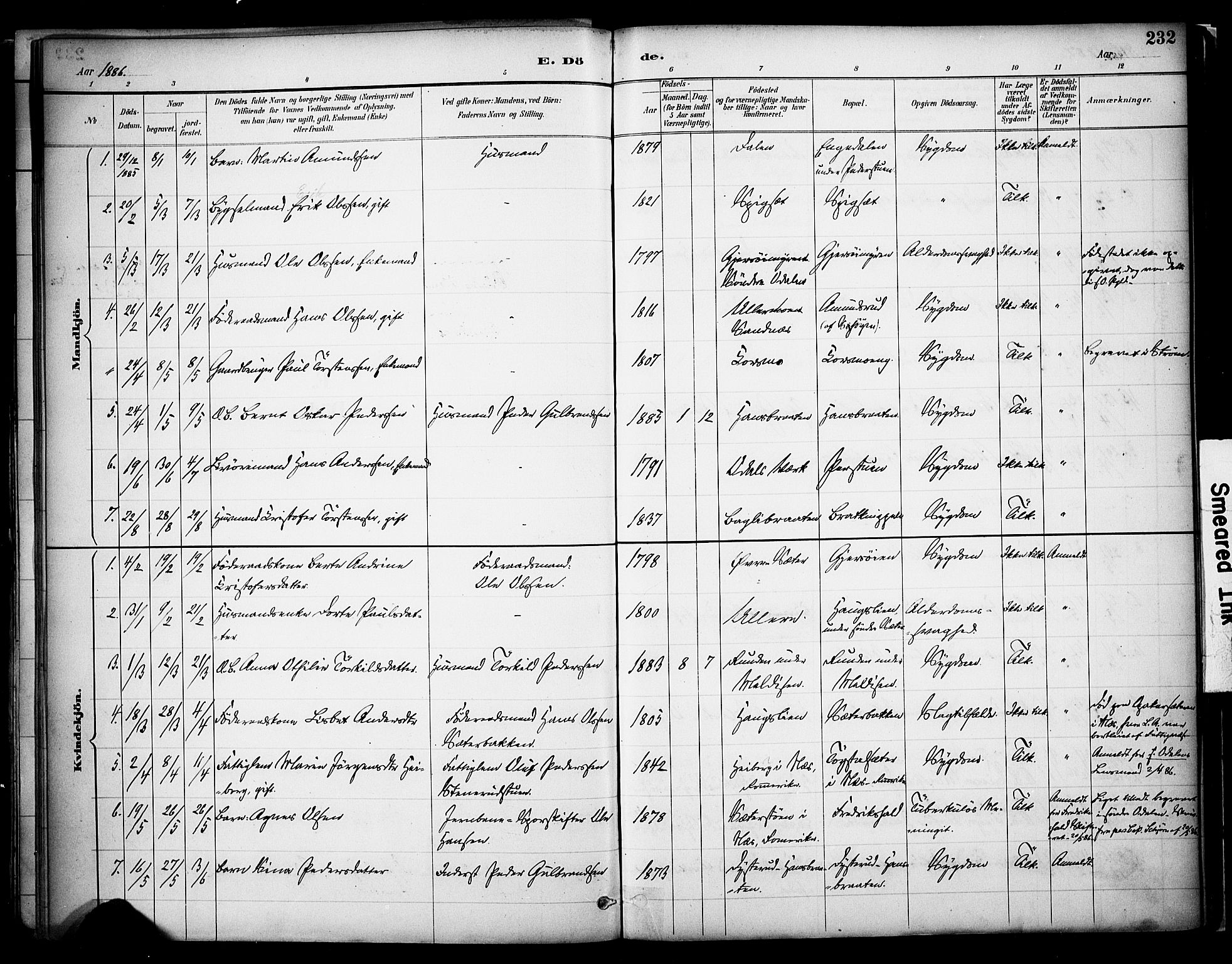 Sør-Odal prestekontor, SAH/PREST-030/H/Ha/Haa/L0008: Ministerialbok nr. 8, 1886-1922, s. 232