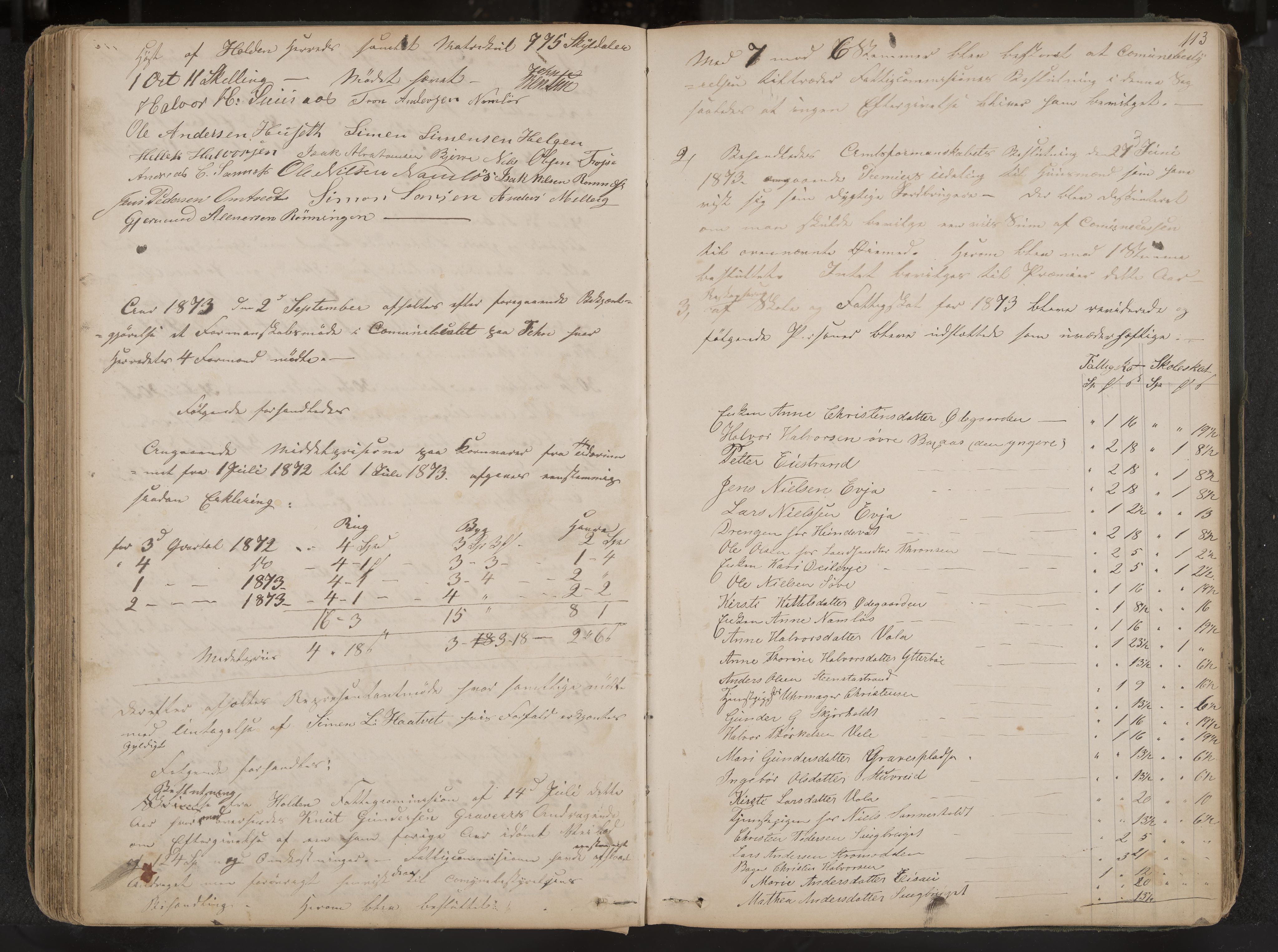 Holla formannskap og sentraladministrasjon, IKAK/0819021-1/A/L0002: Møtebok, 1864-1880, s. 113