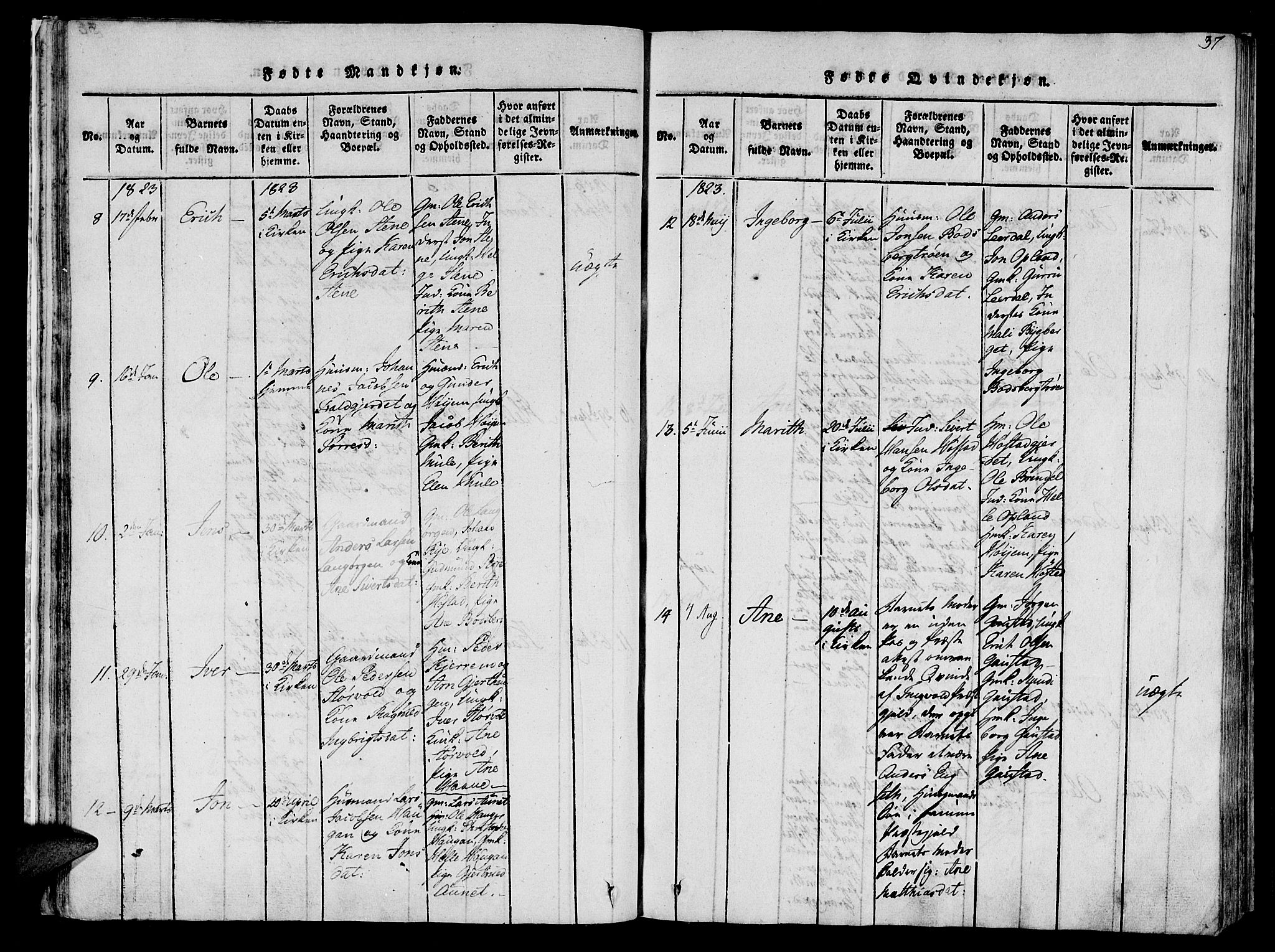Ministerialprotokoller, klokkerbøker og fødselsregistre - Sør-Trøndelag, SAT/A-1456/612/L0372: Ministerialbok nr. 612A06 /1, 1816-1828, s. 37