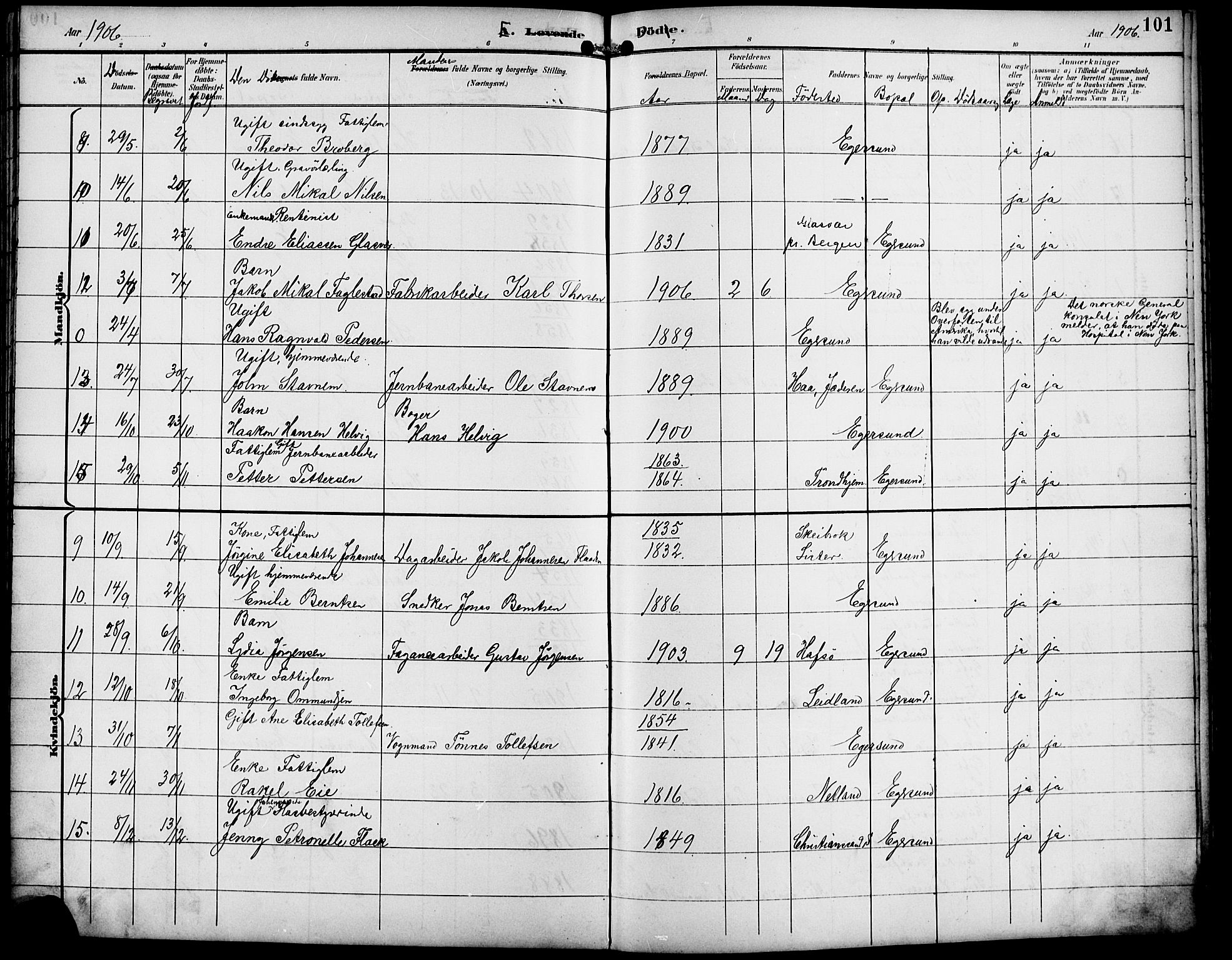 Eigersund sokneprestkontor, AV/SAST-A-101807/S09/L0010: Klokkerbok nr. B 10, 1893-1907, s. 101