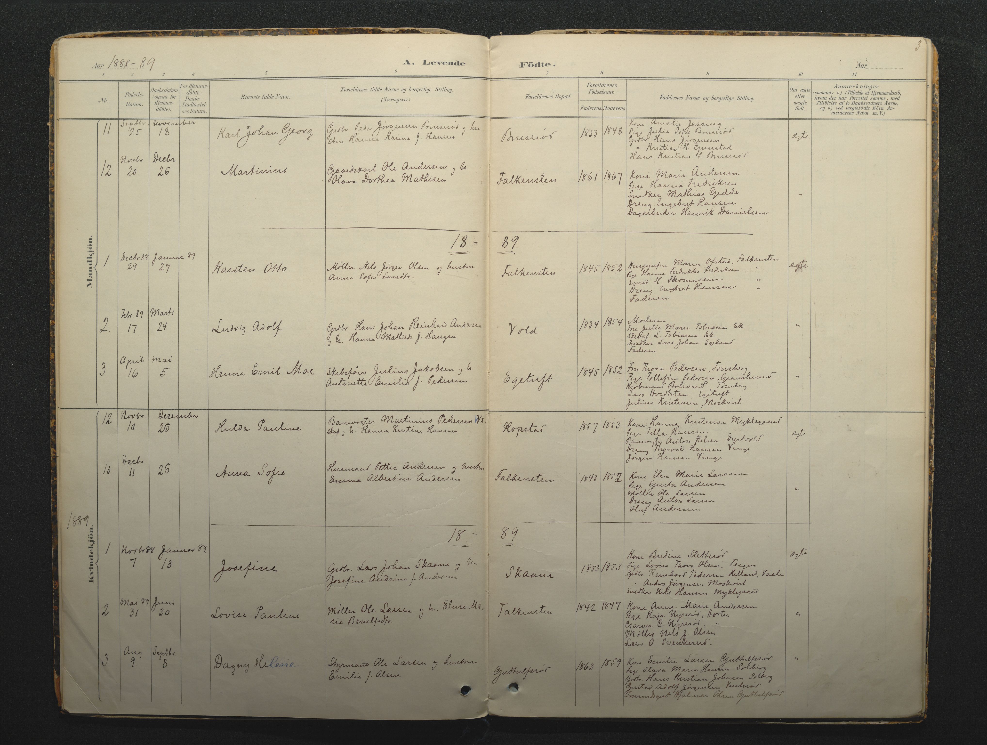 Borre kirkebøker, AV/SAKO-A-338/F/Fc/L0002: Ministerialbok nr. III 2, 1888-1896, s. 3