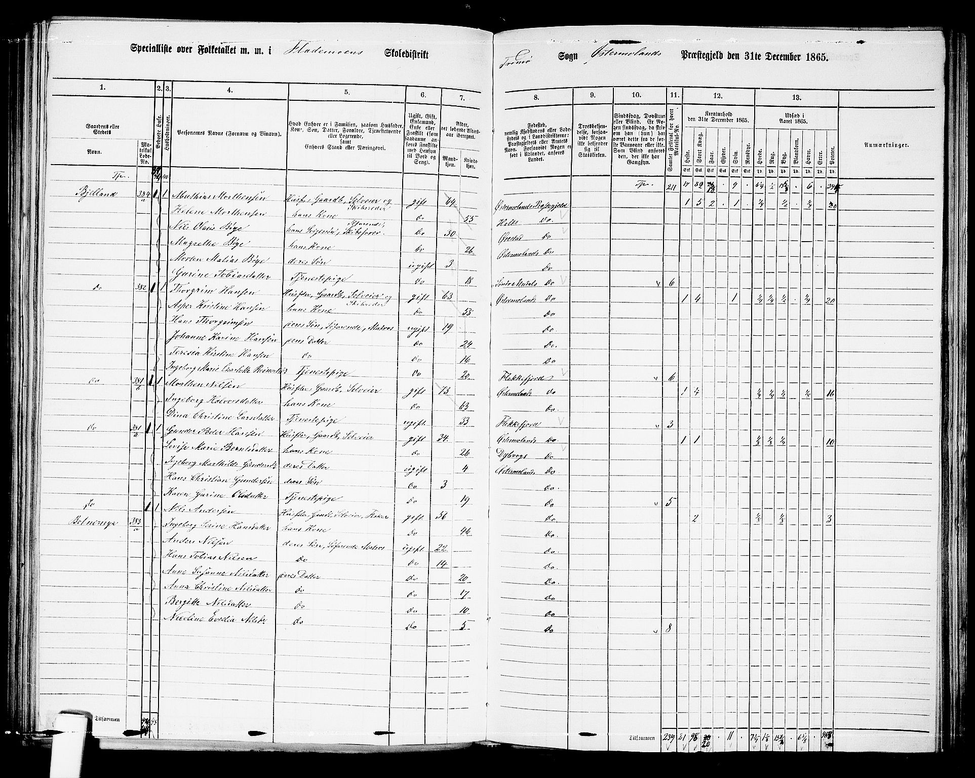 RA, Folketelling 1865 for 0918P Austre Moland prestegjeld, 1865, s. 224