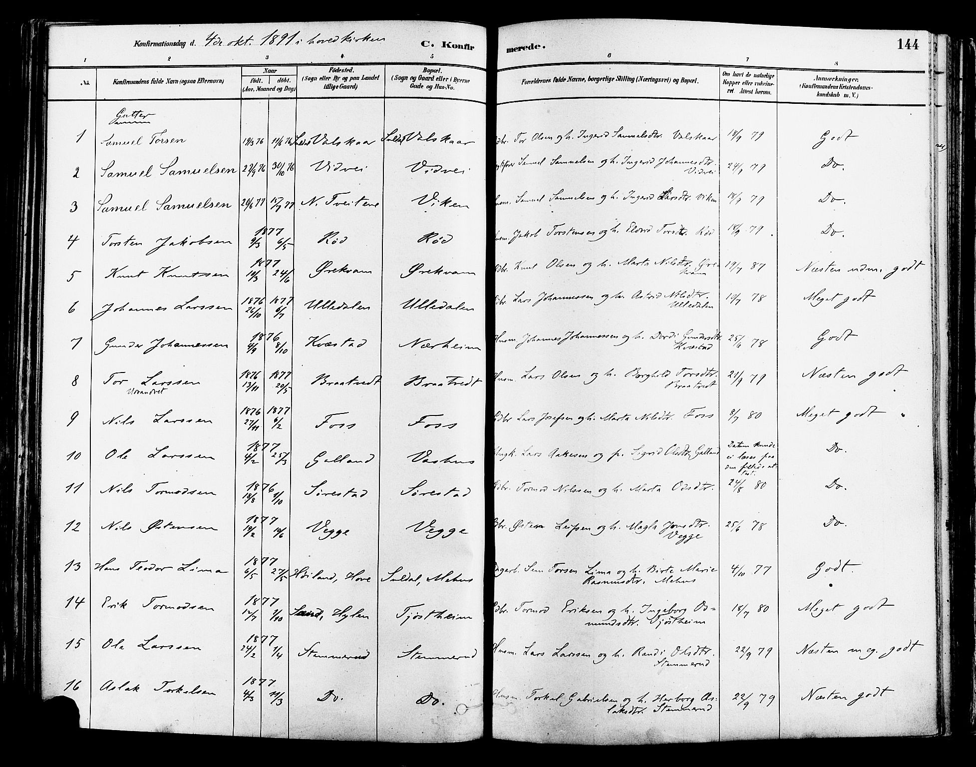 Suldal sokneprestkontor, AV/SAST-A-101845/01/IV/L0011: Ministerialbok nr. A 11, 1878-1900, s. 144