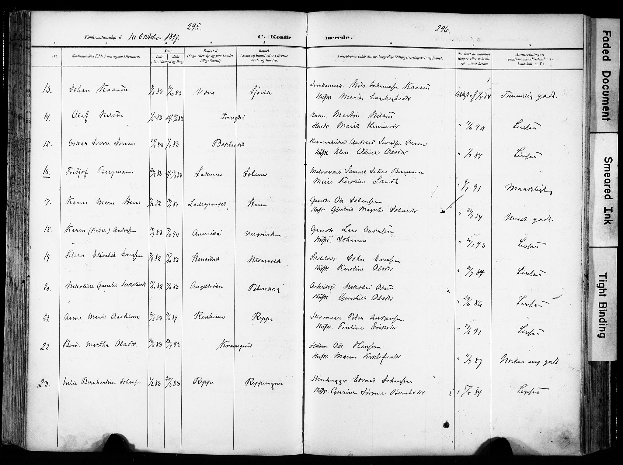 Ministerialprotokoller, klokkerbøker og fødselsregistre - Sør-Trøndelag, AV/SAT-A-1456/606/L0301: Ministerialbok nr. 606A16, 1894-1907, s. 295-296