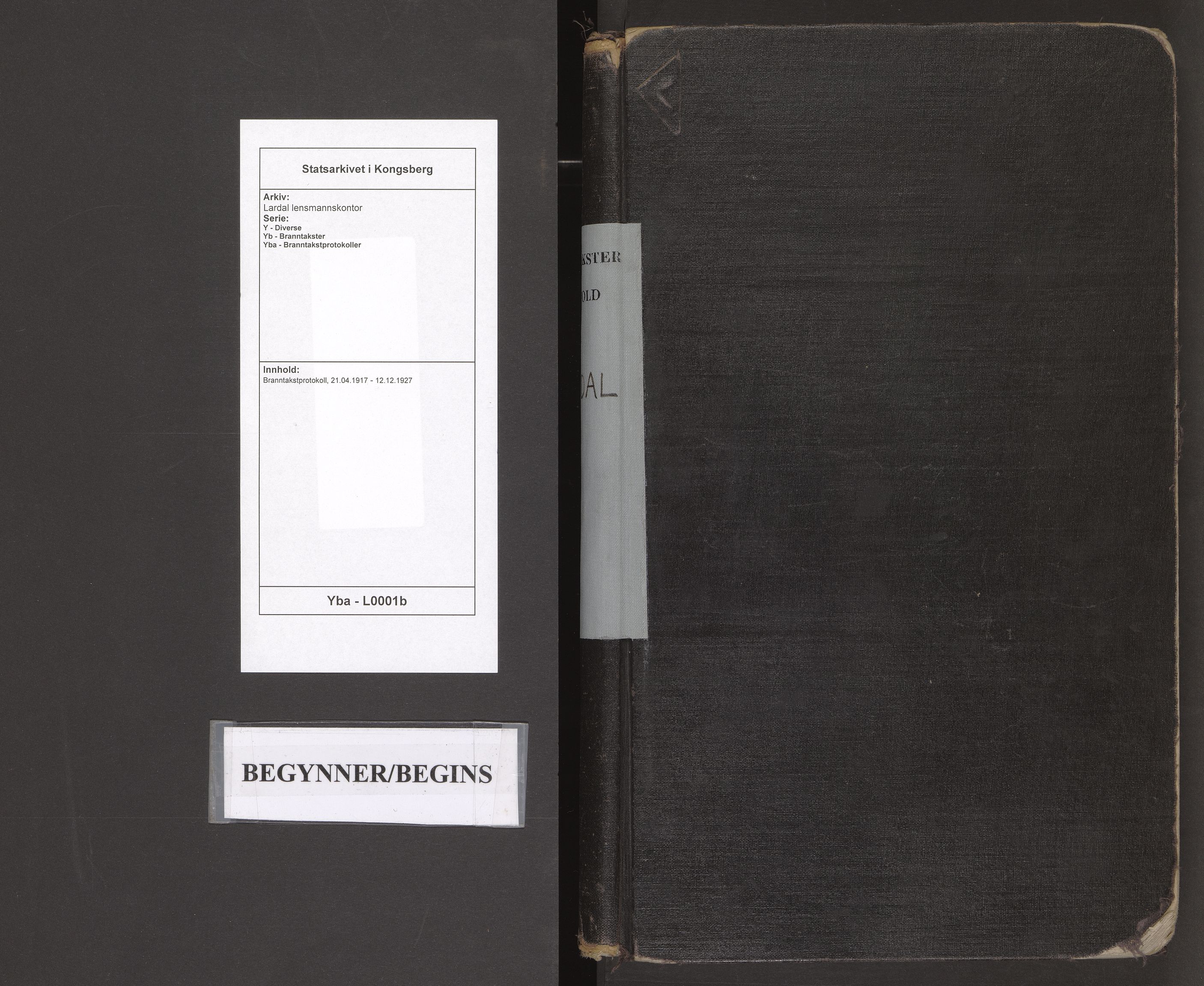 Lardal lensmannskontor, AV/SAKO-A-539/Y/Yb/Yba/L0001b: Branntakstprotokoll, 1917-1927