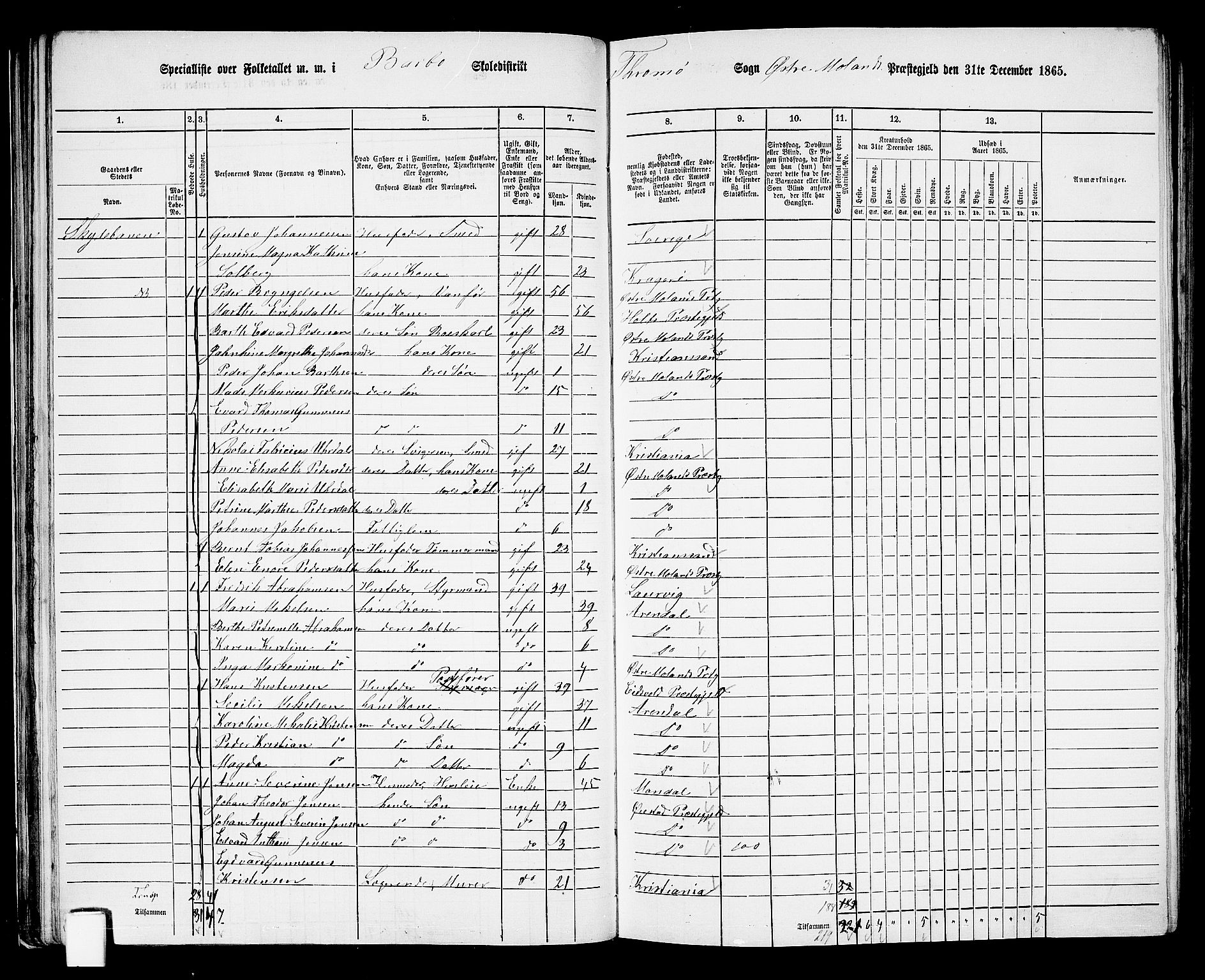 RA, Folketelling 1865 for 0918P Austre Moland prestegjeld, 1865, s. 65